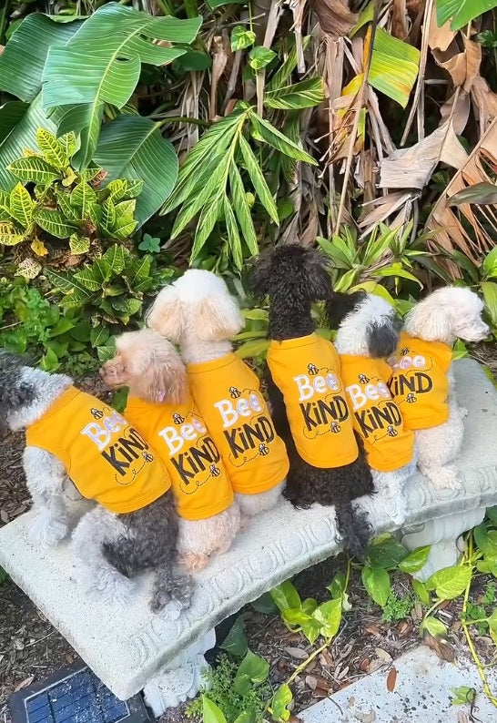 Parisian Pet Bee Kind Embroidered Dog Shirt - Trendy Pet Apparel, Yellow