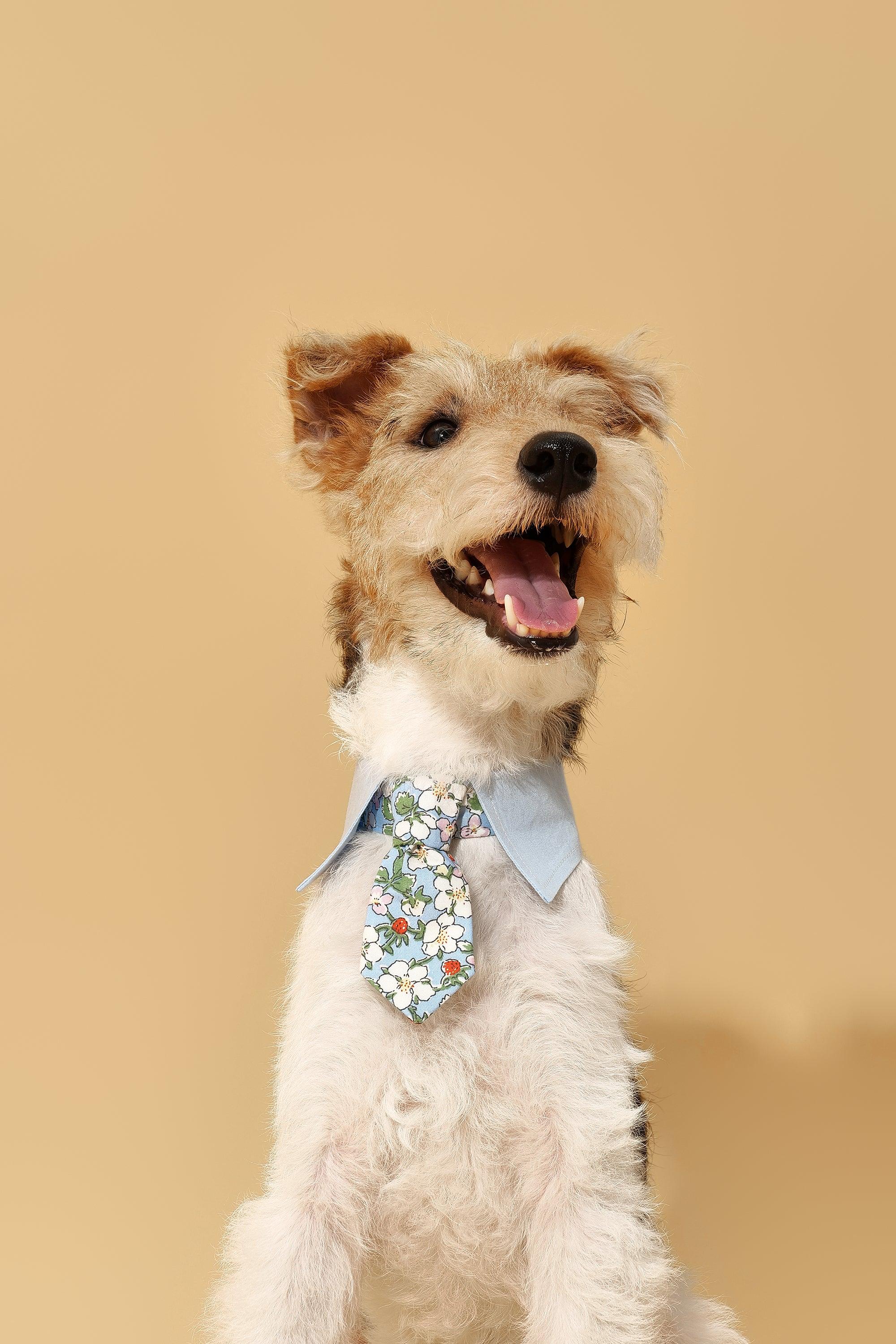 Blue Botanique Necktie Bandana