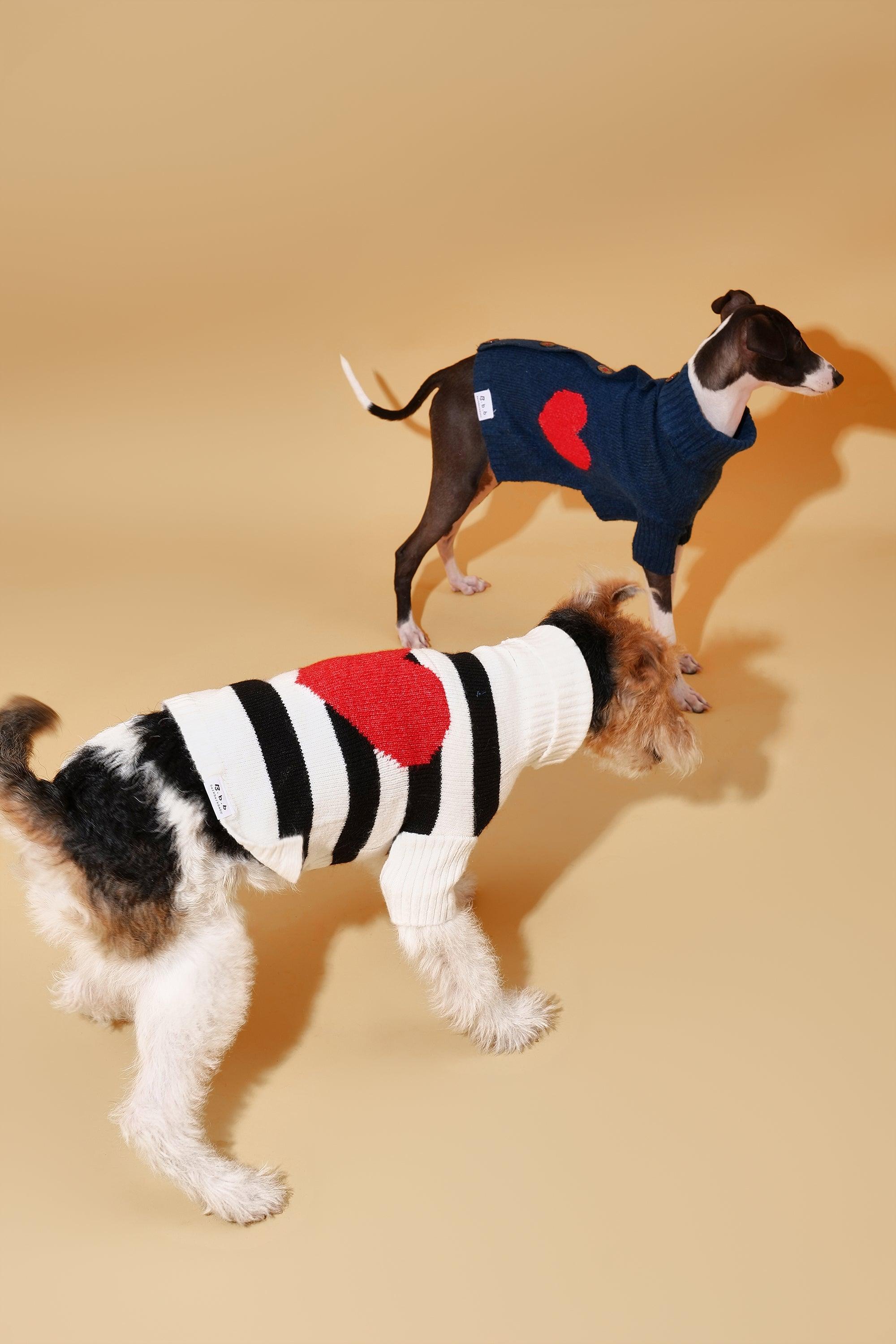 Sailor of My Heart Striped Turtleneck Sweater - HT Animal Supply