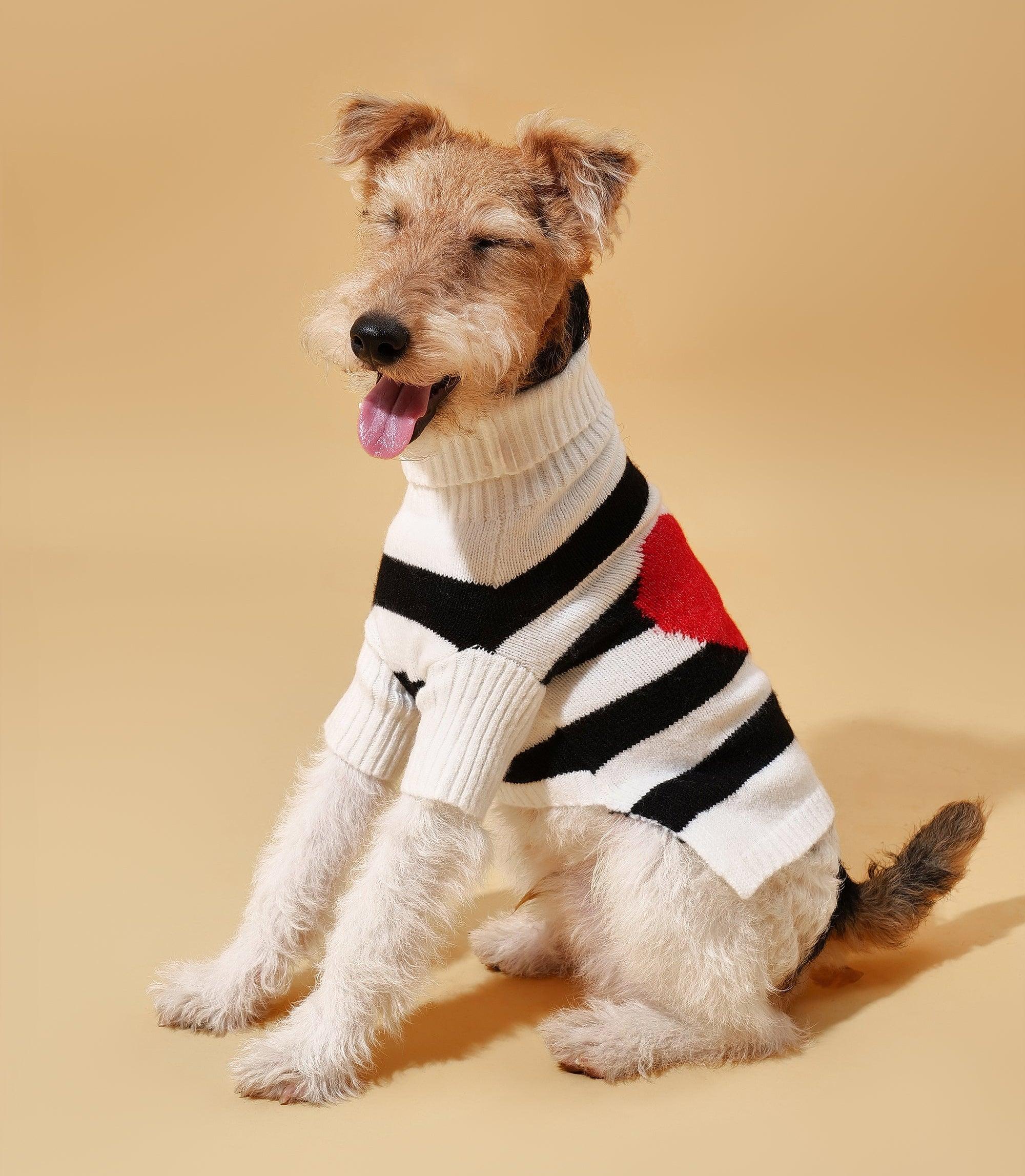 Sailor of My Heart Striped Turtleneck Sweater - HT Animal Supply