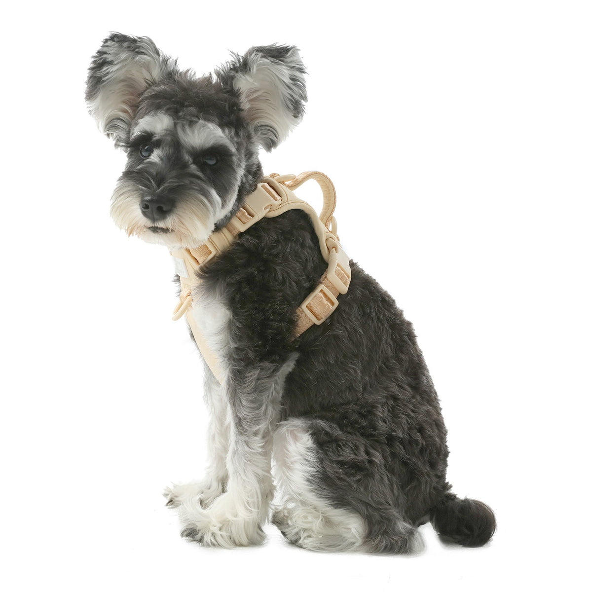 No Pull Active Pet Harness-Apricot