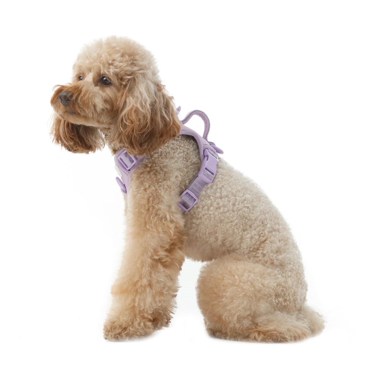 No Pull Active Pet Harness-Mint Purple