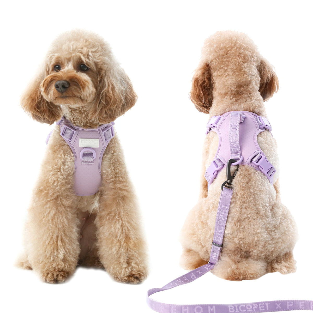 No Pull Active Pet Harness-Mint Purple
