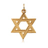 14k Yellow Gold Textured Star of David Pendant