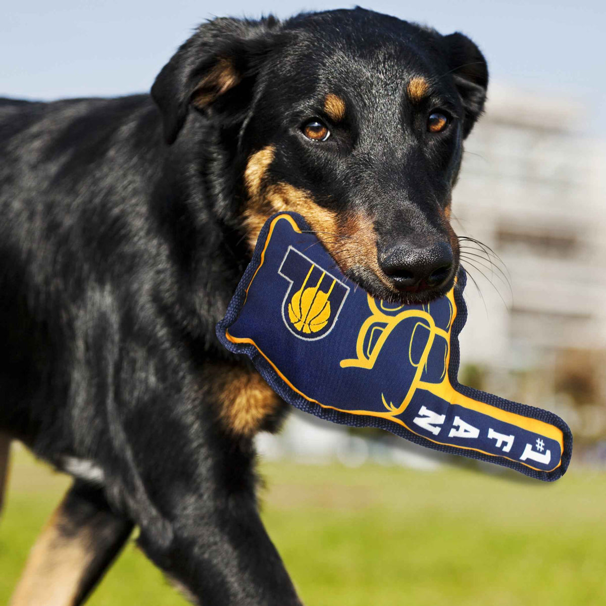 Indiana Pacers #1 Fan Toy