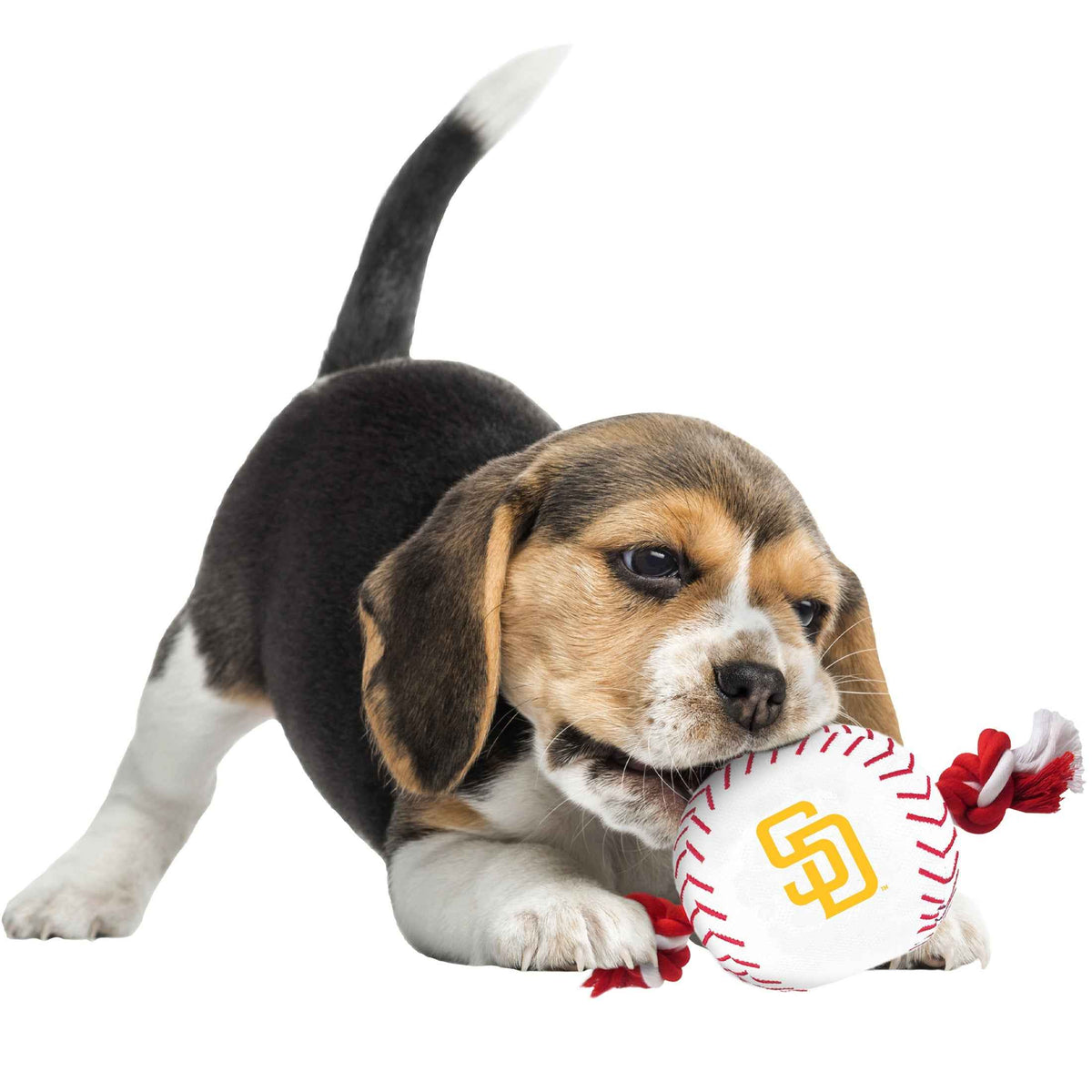 San Diego Padres Nylon Baseball Rope Toy