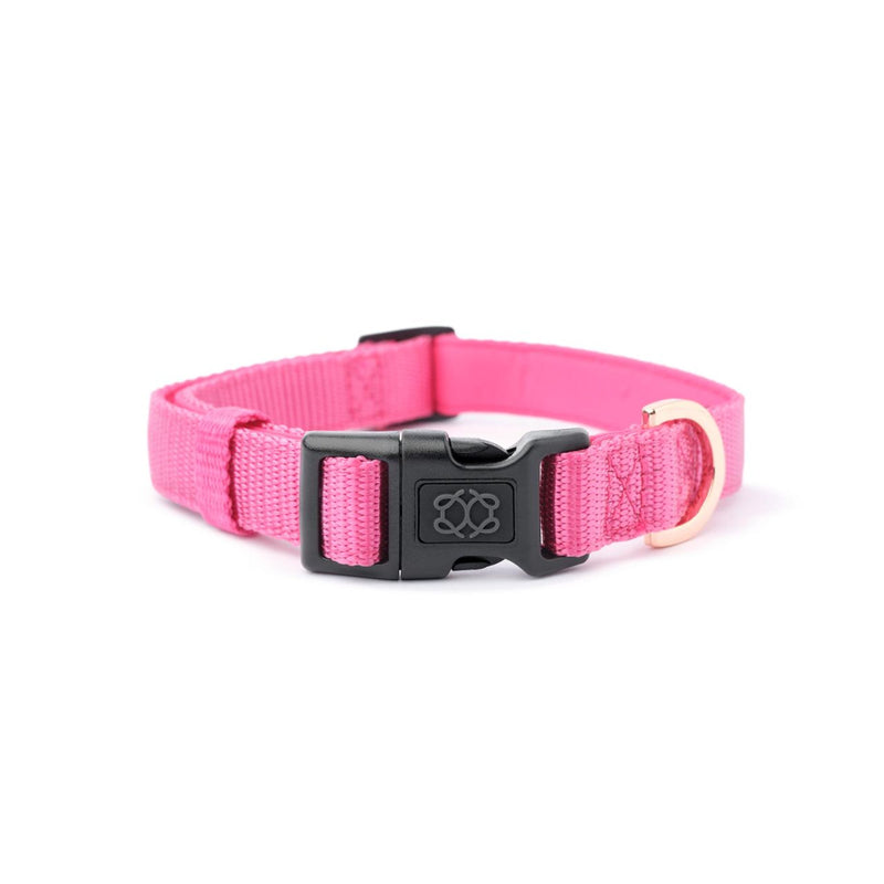 DOGISTRY City Dog Collar - Park Ave Pink