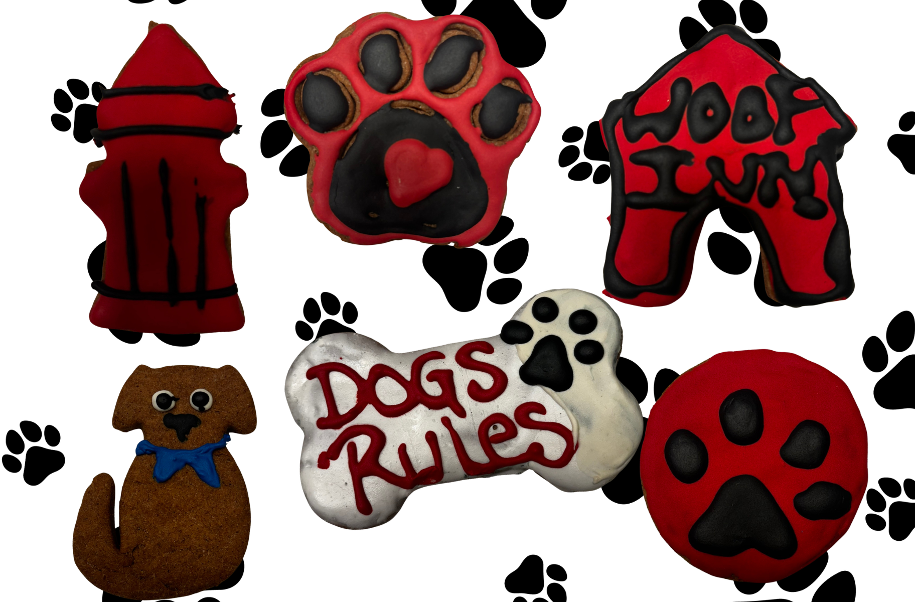 PAWsitively Organic Dog Life Dog Cookie Box