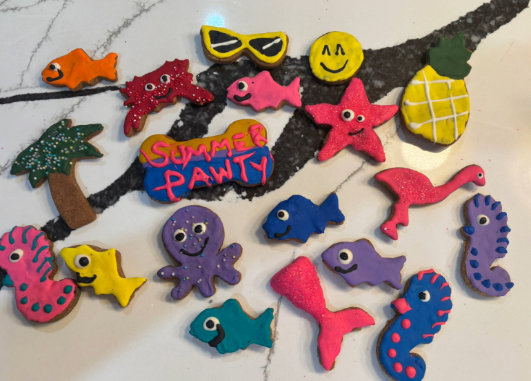 PAWsitively Organic PAWaquarium Dog Cookie Box
