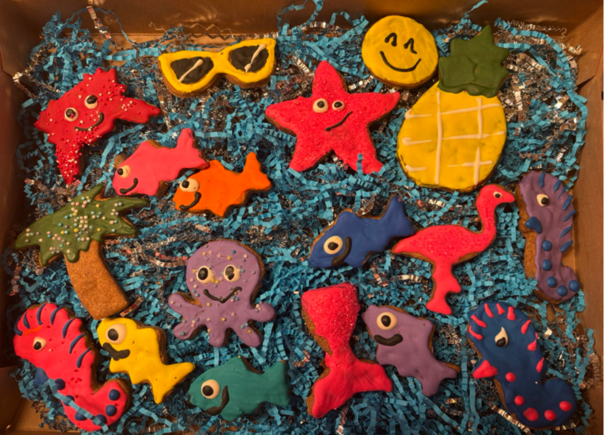 PAWsitively Organic PAWaquarium Dog Cookie Box