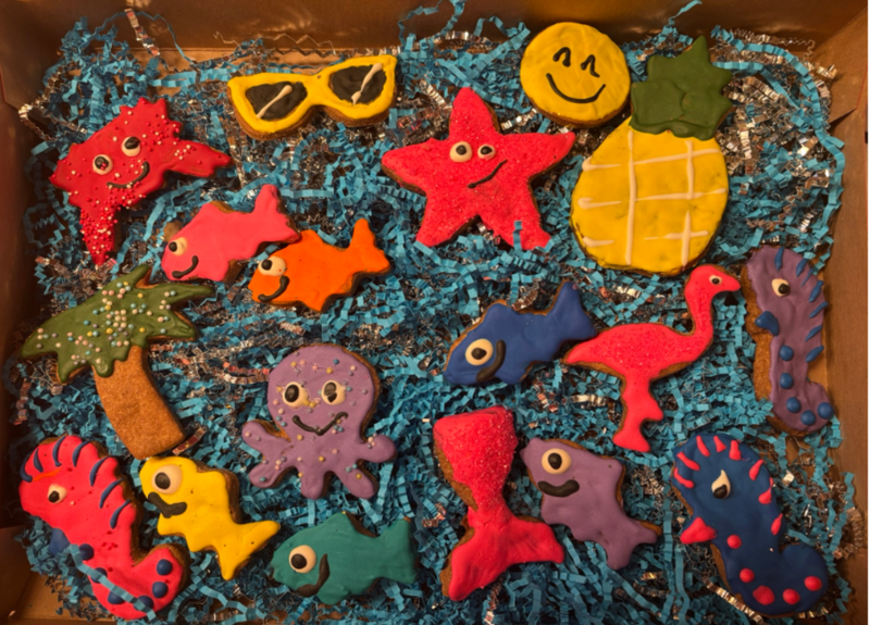 PAWsitively Organic PAWaquarium Dog Cookie Box