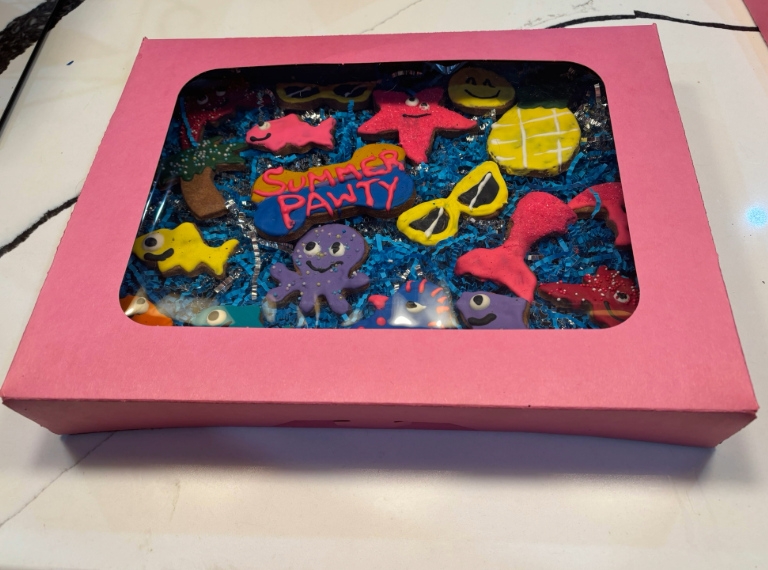 PAWsitively Organic PAWaquarium Dog Cookie Box