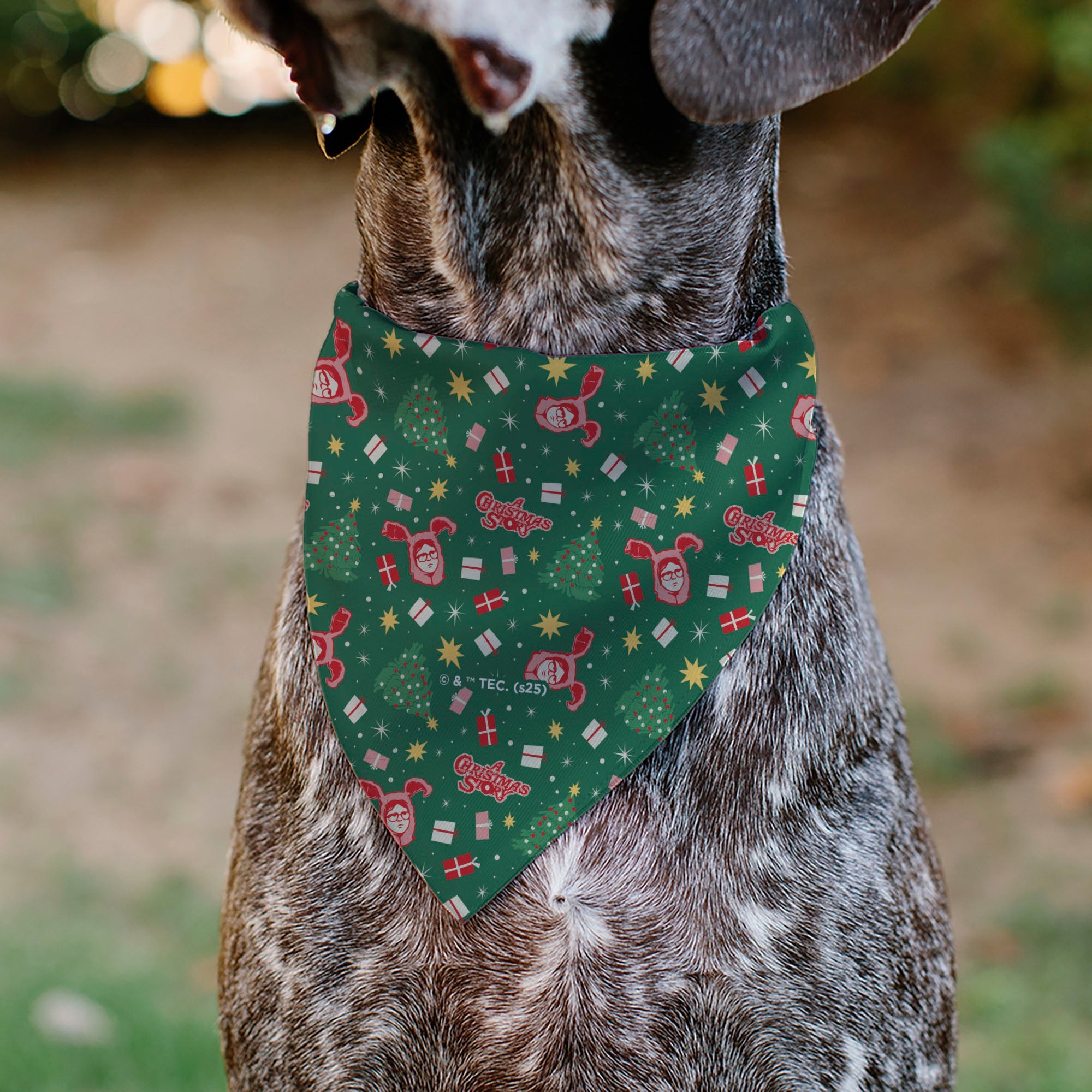 Buckle-Down A Christmas Story Icons and Title Logo Collage Greens/Reds Over-the-Collar Dog Bandana