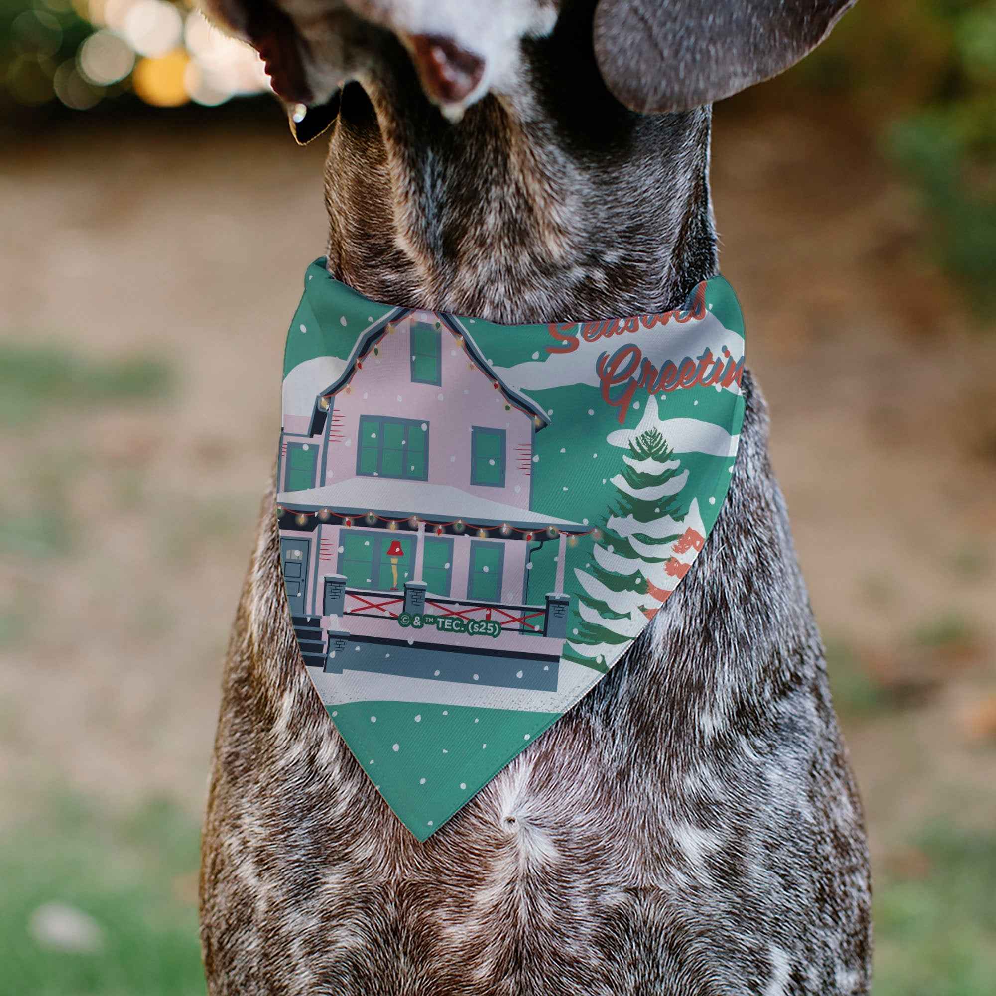 Buckle-Down A Christmas Story Easter Bunny Ralphie Pose and House Pastels Over-the-Collar Dog Bandana