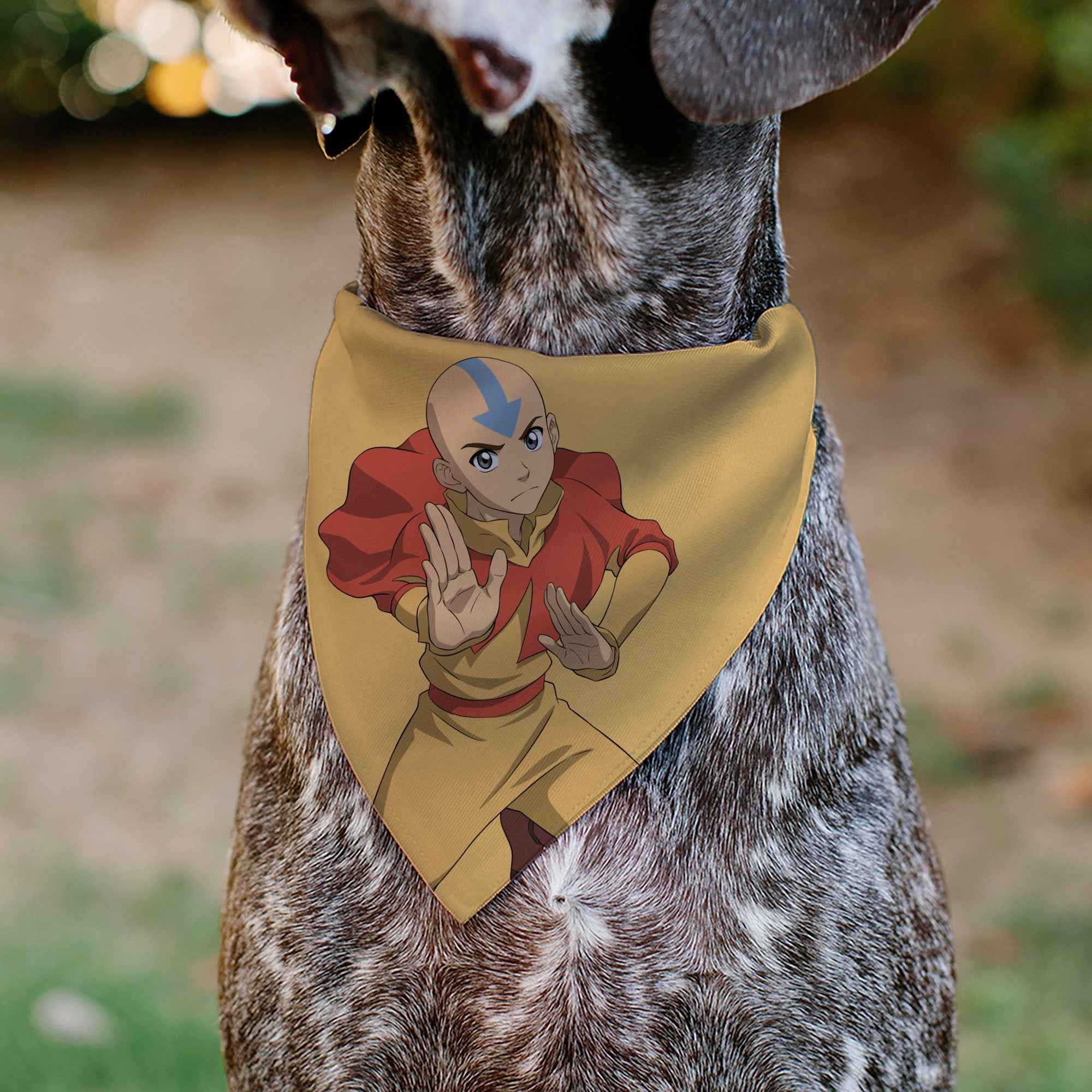 Buckle-Down Avatar the Last Airbender Action Pose and Title Logo Yellow Over-the-Collar Dog Bandana