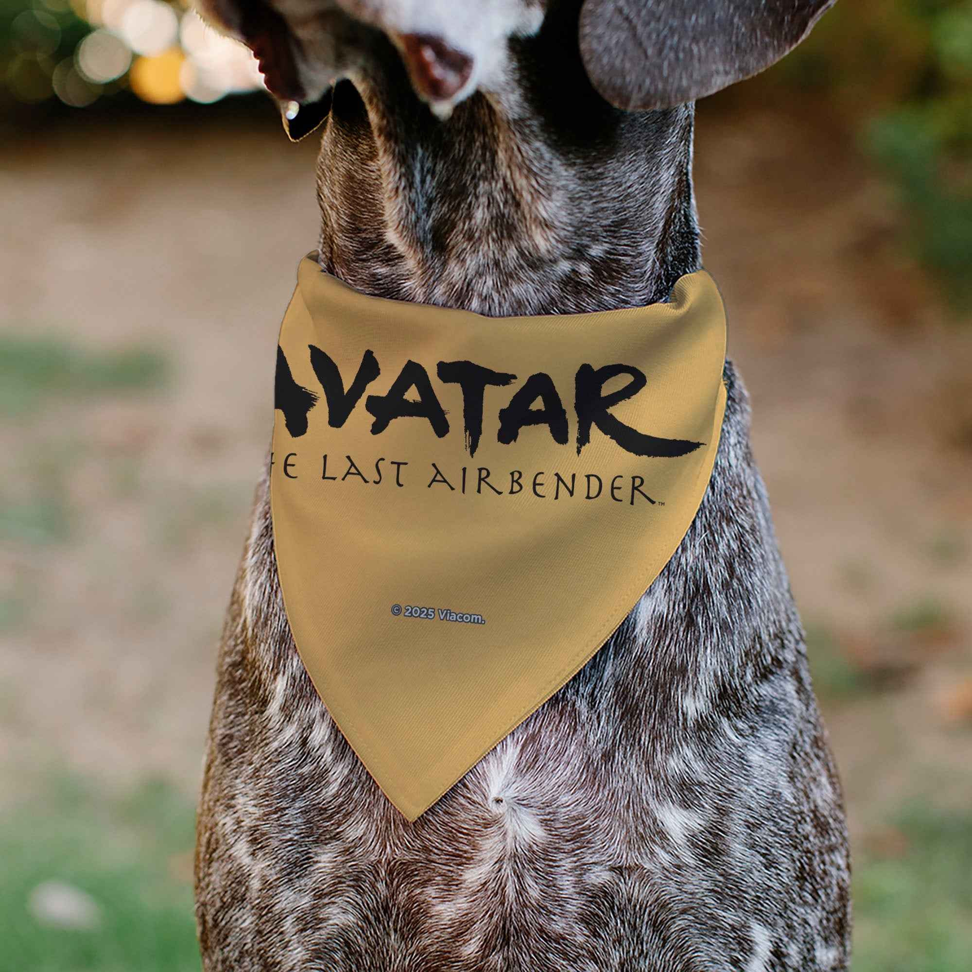 Buckle-Down Avatar the Last Airbender Action Pose and Title Logo Yellow Over-the-Collar Dog Bandana