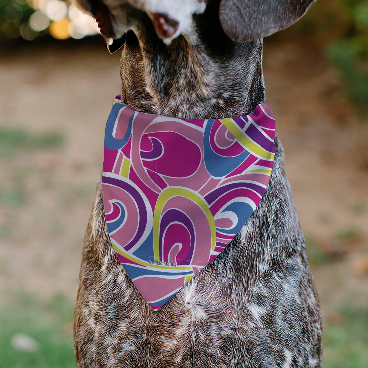 Pet Bandana - Barbie Swirl Pinks/Multi Color | HT Animal Supply