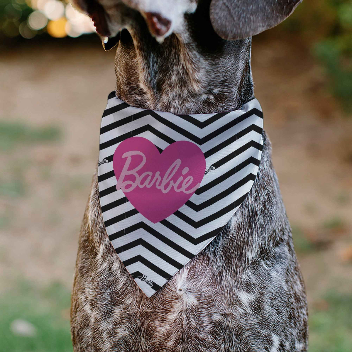 Pet Bandana - BARBIE Script Heart Chevron White/Black/Pinks