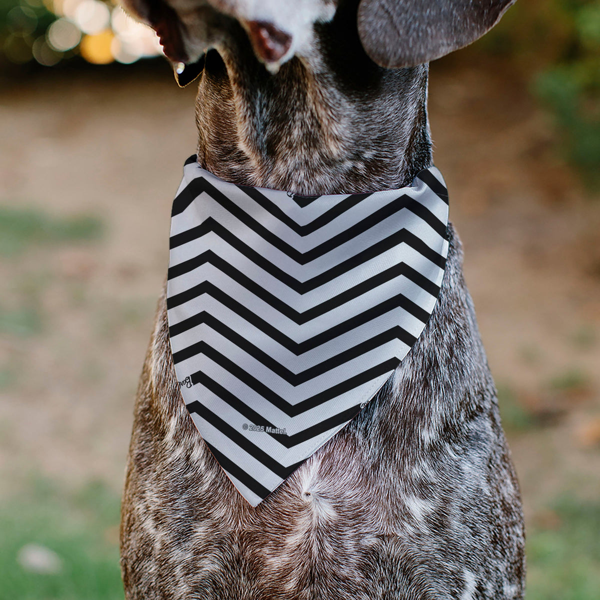 Pet Bandana - BARBIE Script Heart Chevron White/Black/Pinks | HT Animal Supply