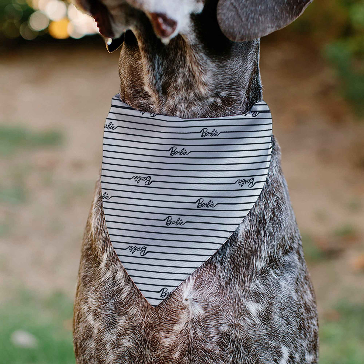 Pet Bandana - BARBIE Script Stripe White/Black