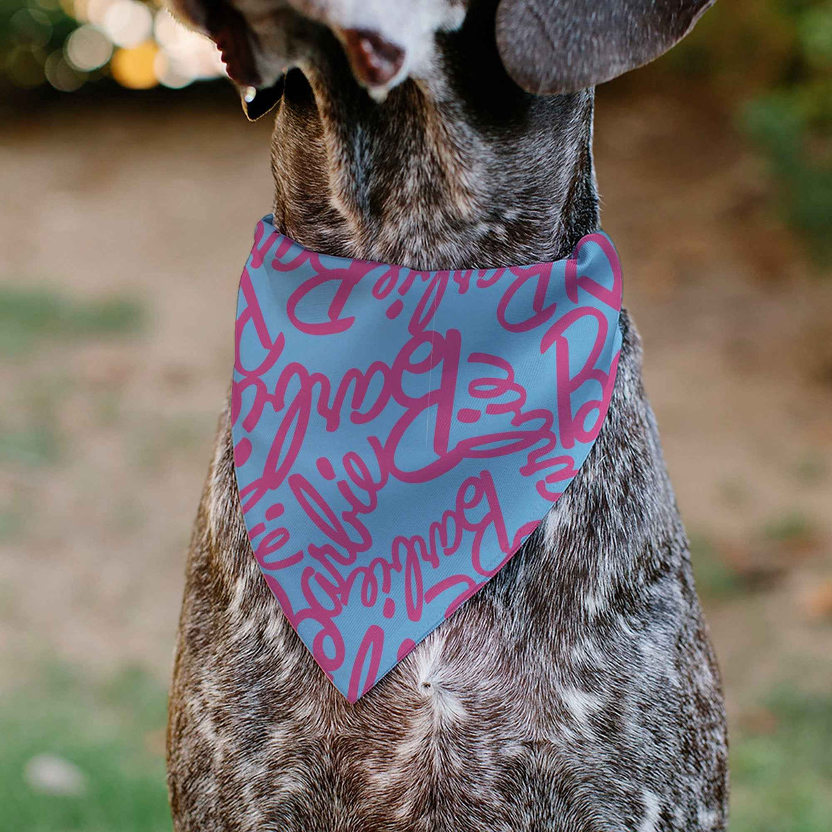 Pet Bandana - BARBIE Autograph Script Scattered Blue/Pink