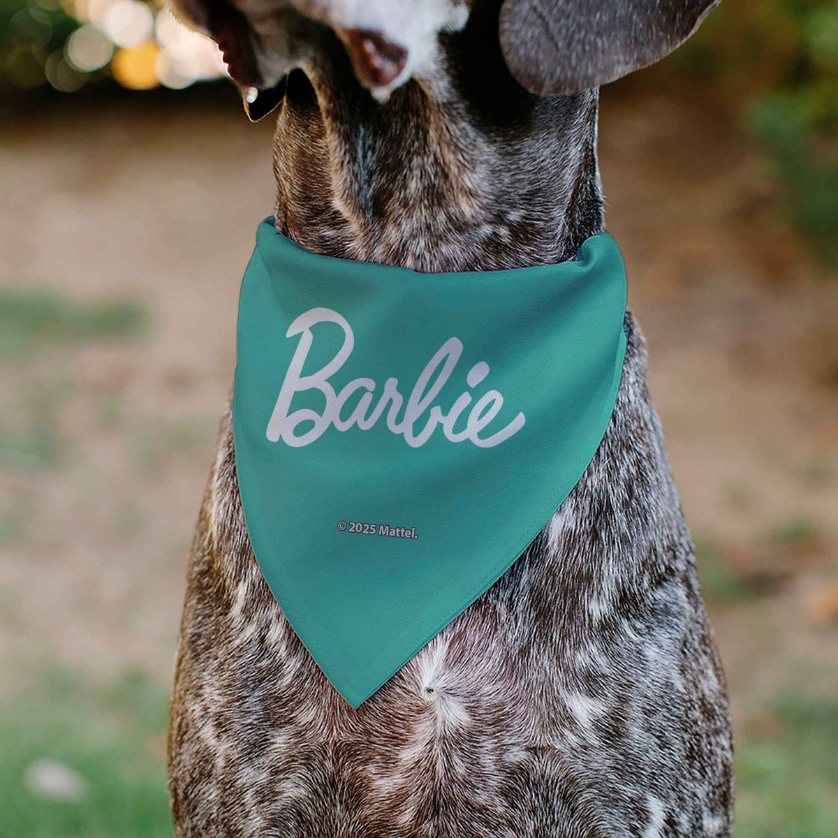 Pet Bandana - BARBIE Paw Print Icons and Script Blue/Multi Pastel