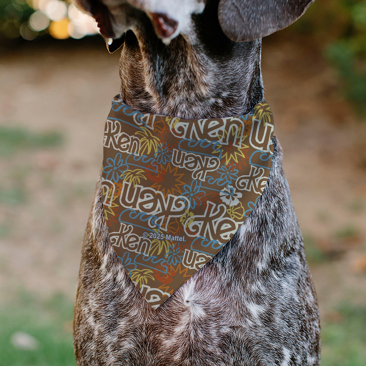 Pet Bandana - Barbie KEN Text Logo and Icons Brown/Multi Color | HT Animal Supply