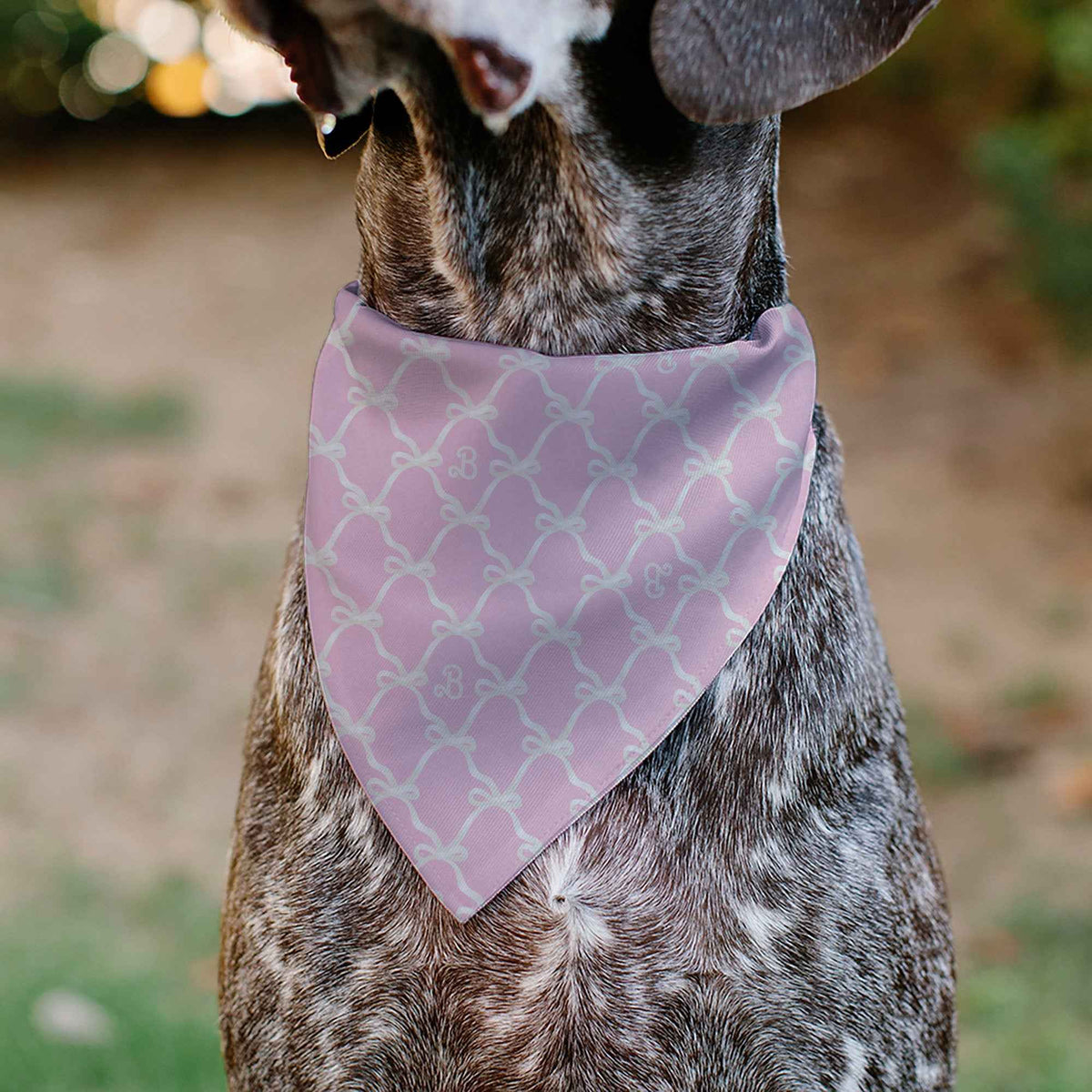 Pet Bandana - Barbie Bow and B Monogram Pink/White