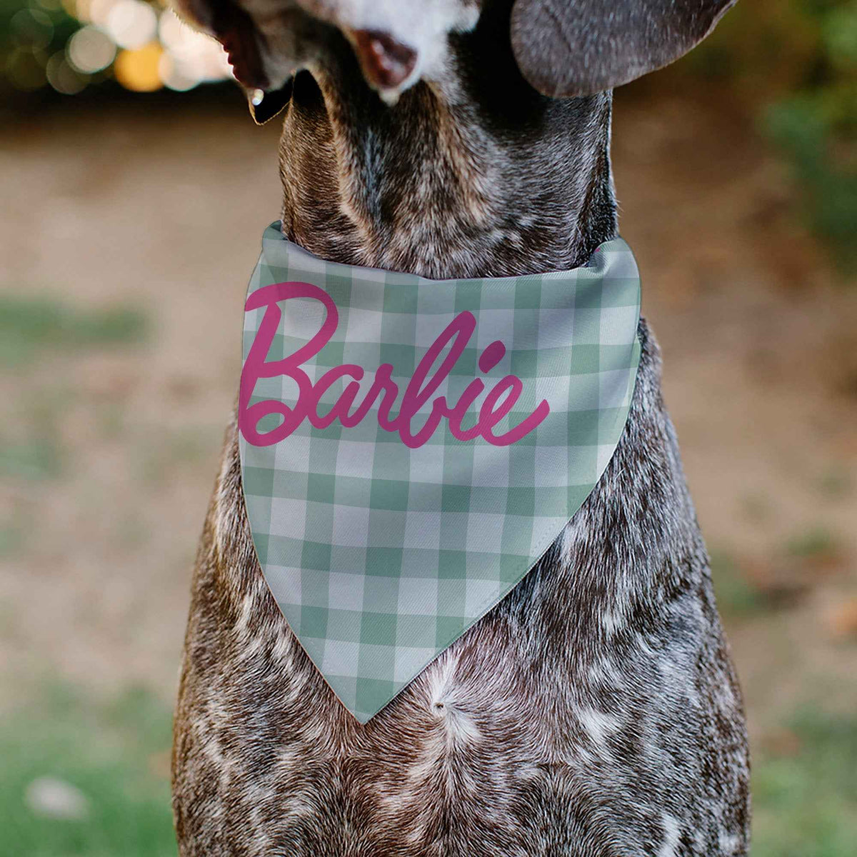 Pet Bandana - BARBIE Script Plaid Beige/Olive/Pink