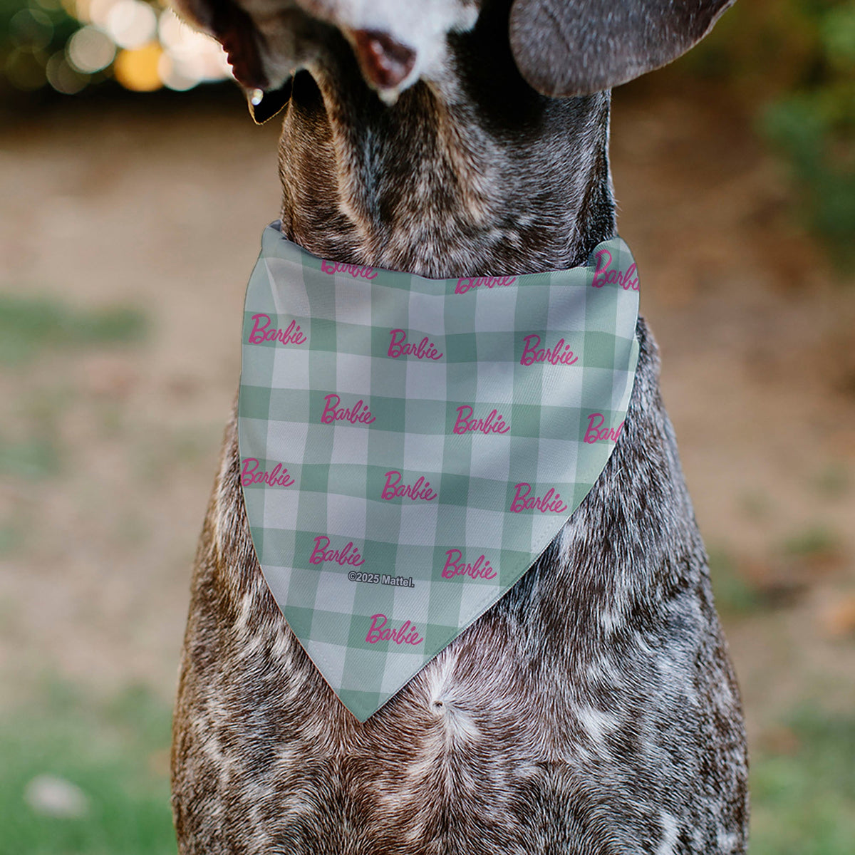 Pet Bandana - BARBIE Script Plaid Beige/Olive/Pink | HT Animal Supply