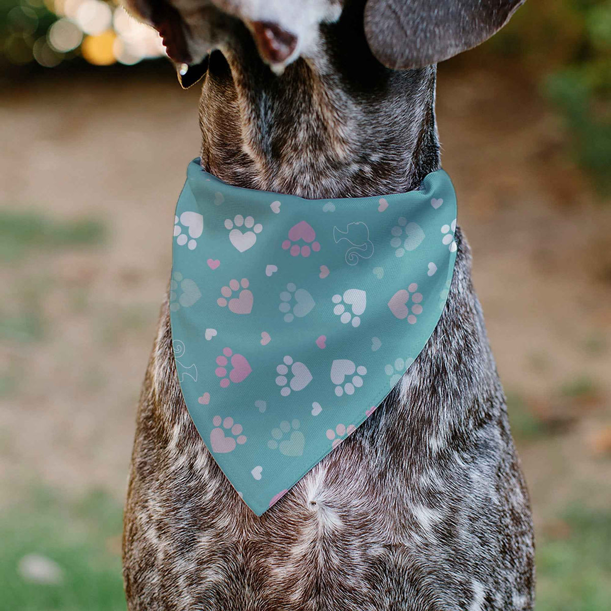 Pet Bandana - BARBIE Bold Text Paw Print Icons Blues/Pinks/White