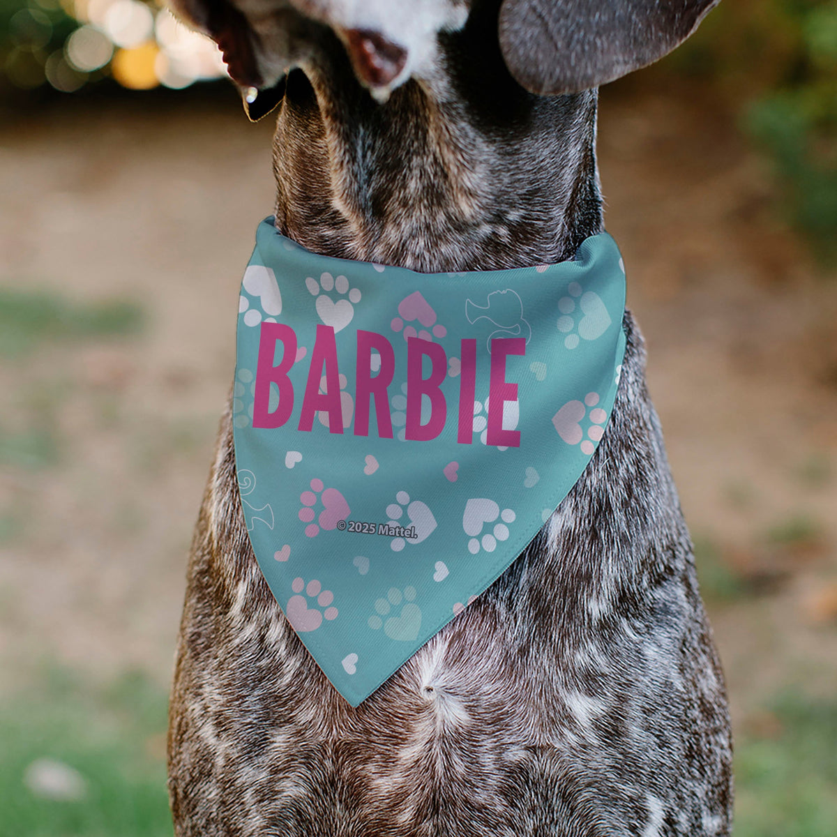 Pet Bandana - BARBIE Bold Text Paw Print Icons Blues/Pinks/White | HT Animal Supply