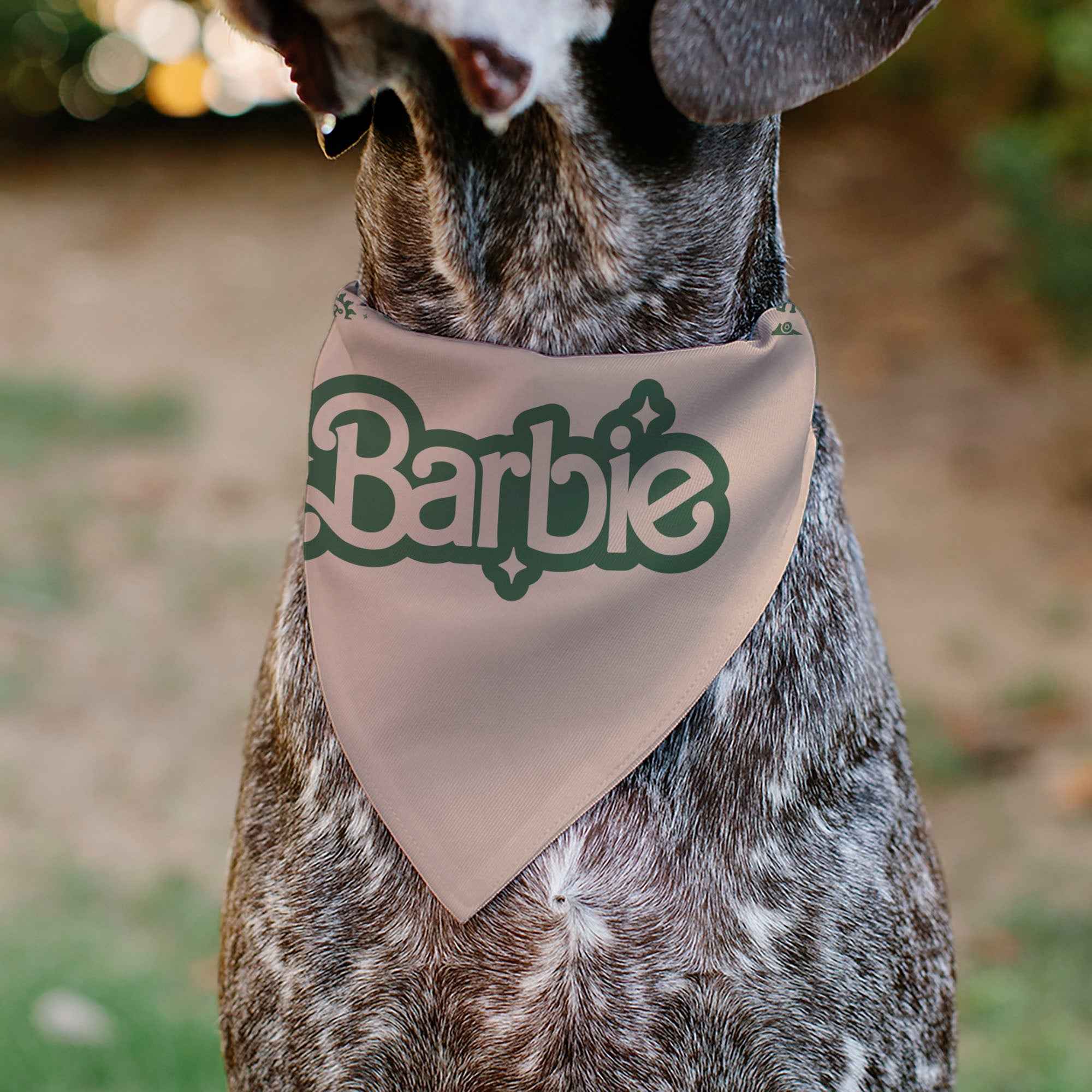 Pet Bandana - CALIFORNIA DREAMIN BARBIE Icons Collage and Script Peach/Olive