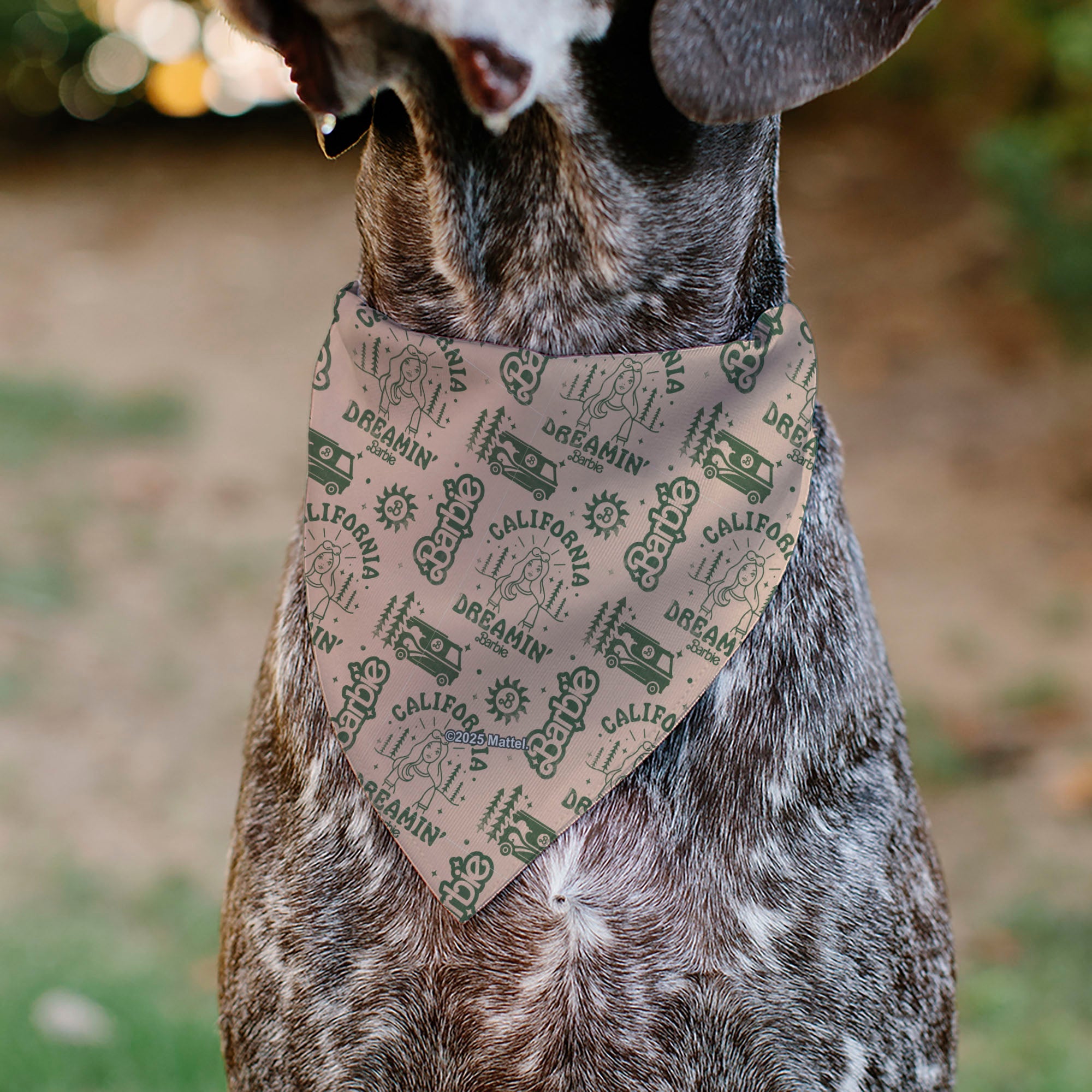 Pet Bandana - CALIFORNIA DREAMIN BARBIE Icons Collage and Script Peach/Olive | HT Animal Supply