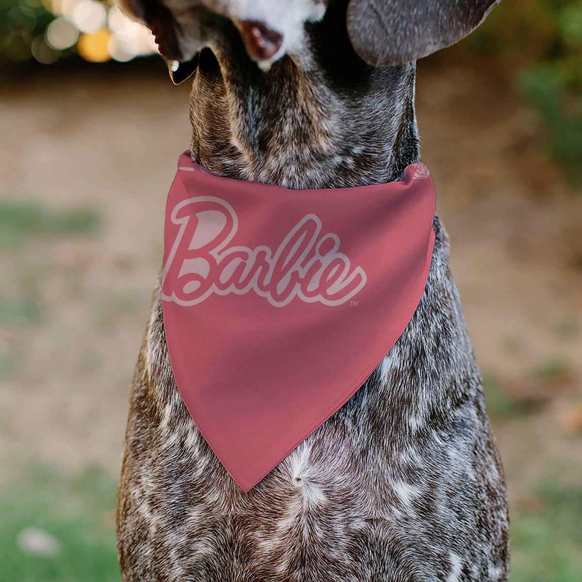 Pet Bandana - Malibu Beach BARBIE Script and Icons Collage Pinks