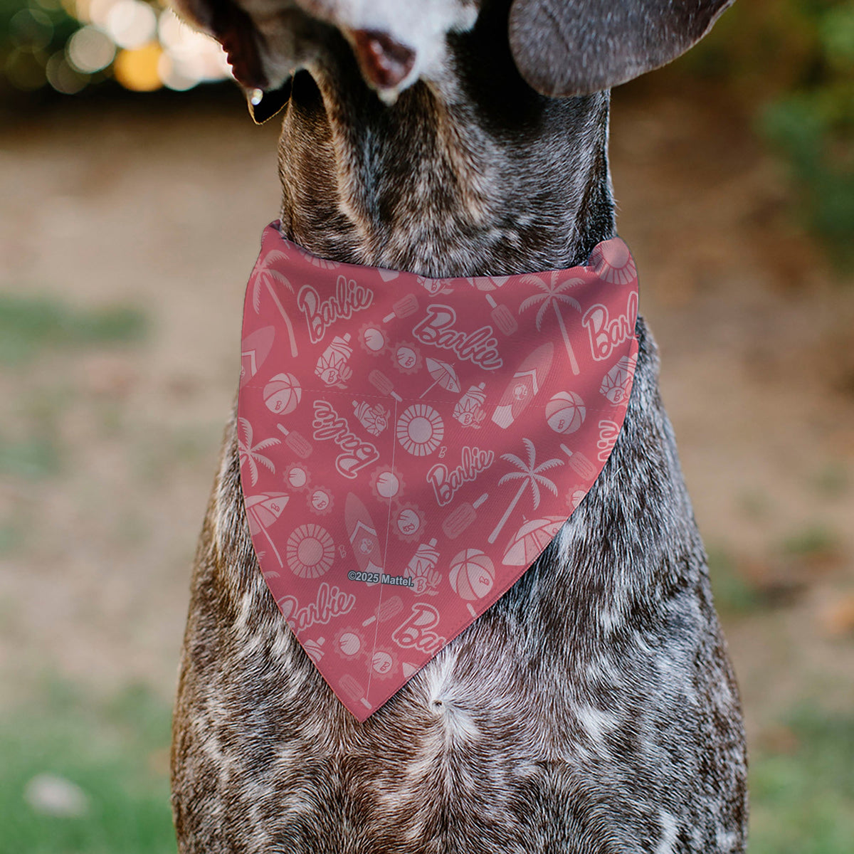 Pet Bandana - Malibu Beach BARBIE Script and Icons Collage Pinks | HT Animal Supply