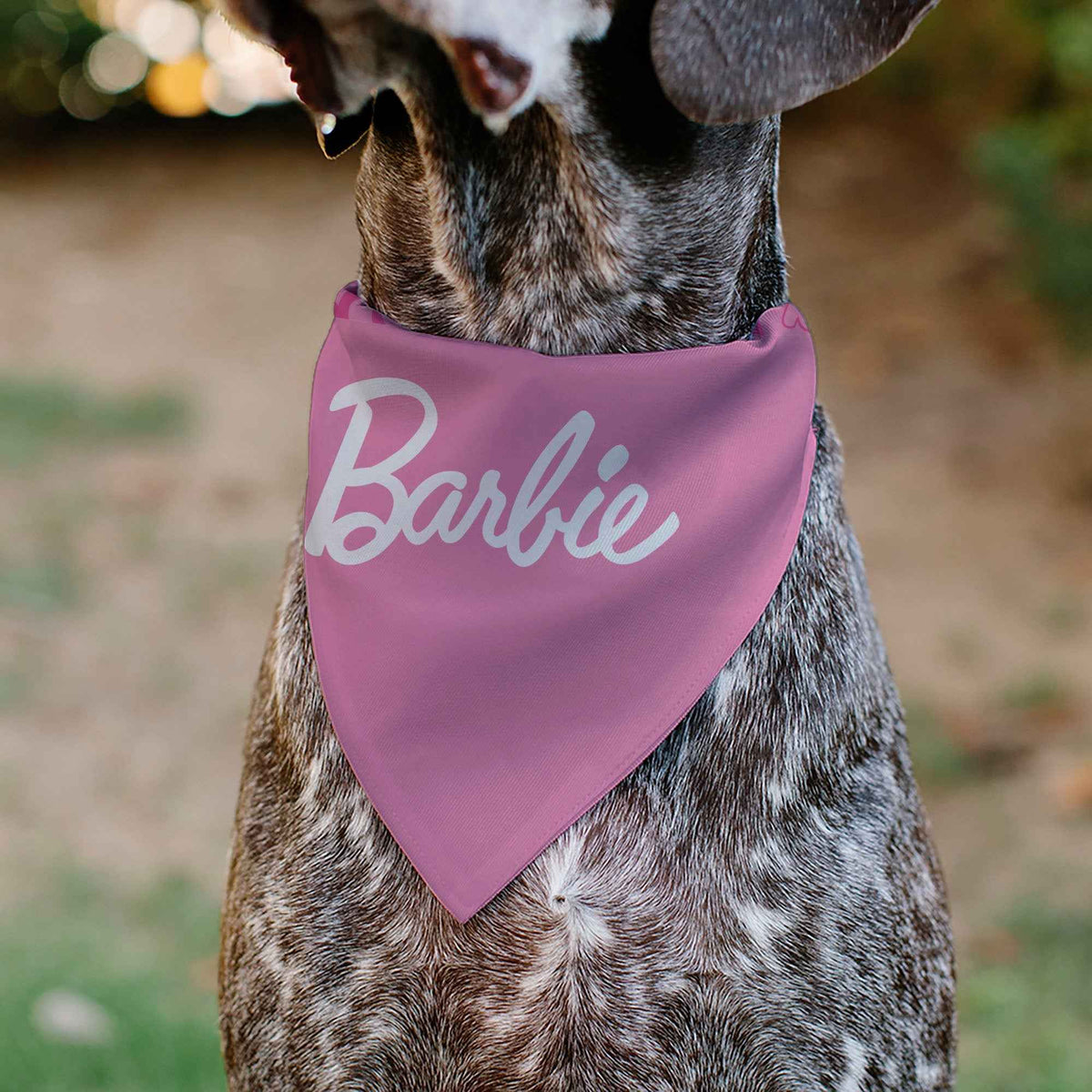Pet Bandana - BARBIE Script and B Icon Collage Pinks/White