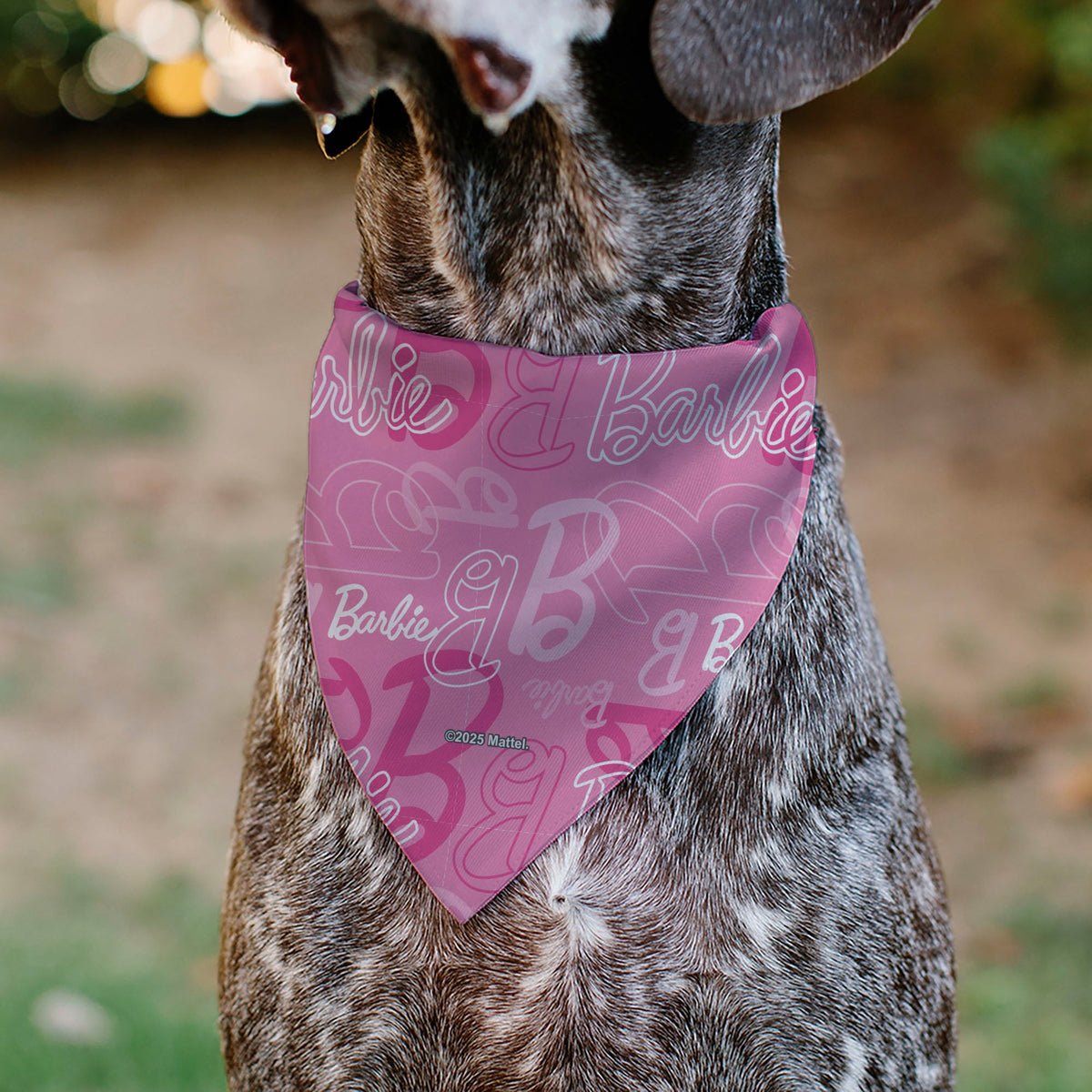Pet Bandana - BARBIE Script and B Icon Collage Pinks/White | HT Animal Supply