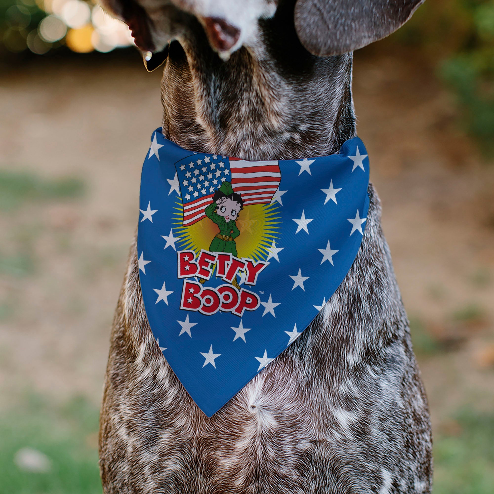 Buckle-Down Bandana Betty Boop Americana Soldier Salute Pose Logo and Stars Blue/White Over-the-Collar Dog Bandana