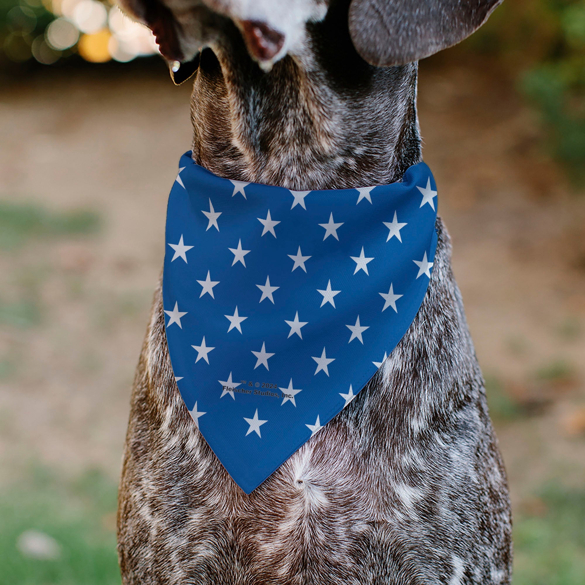 Buckle-Down Bandana Betty Boop Americana Soldier Salute Pose Logo and Stars Blue/White Over-the-Collar Dog Bandana