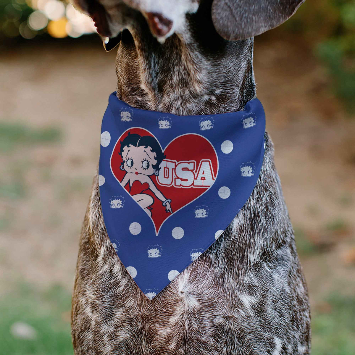 Pet Bandana - Bandana Betty Boop USA Heart Pose Polka Dot/Face Blue/White