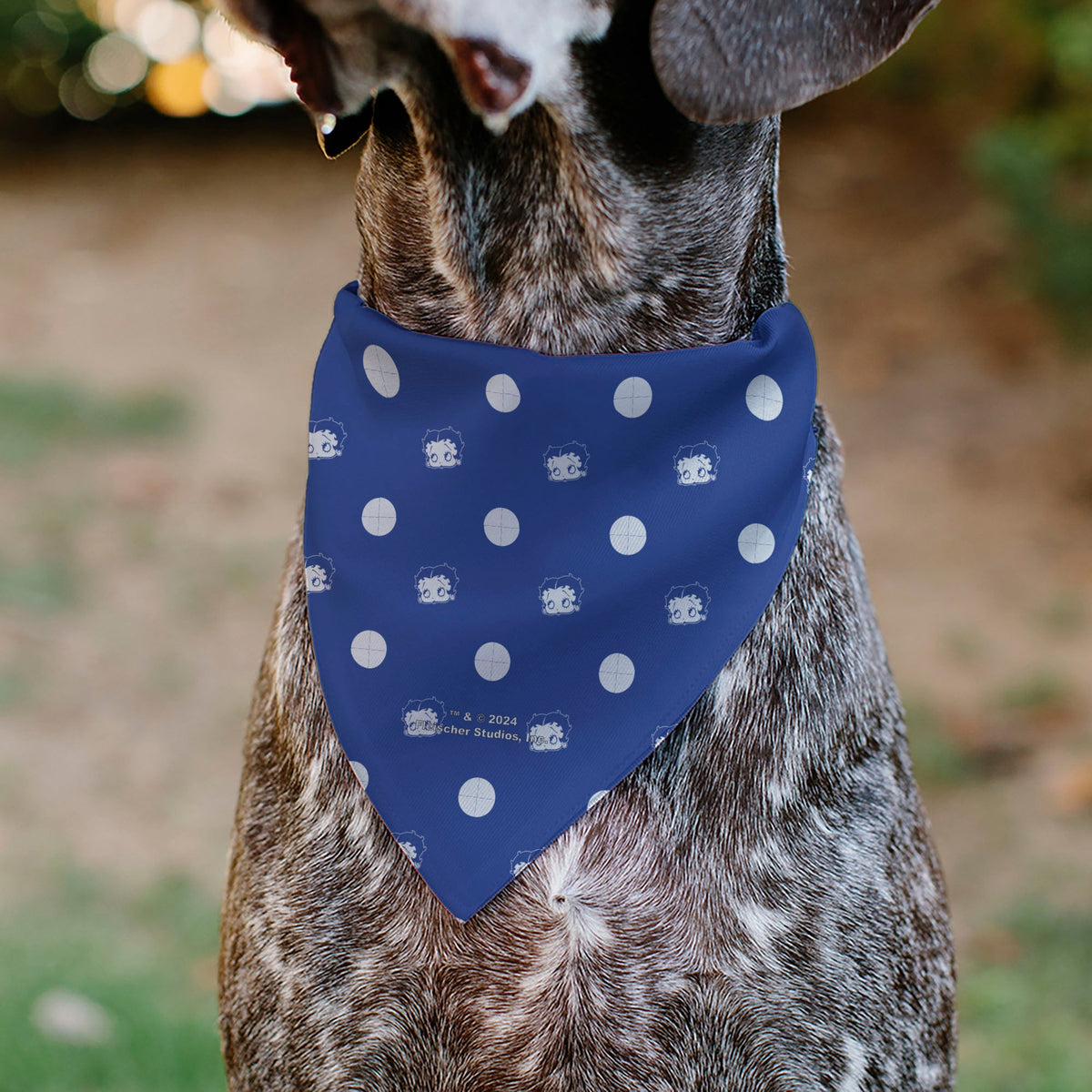 Pet Bandana - Bandana Betty Boop USA Heart Pose Polka Dot/Face Blue/White | HT Animal Supply