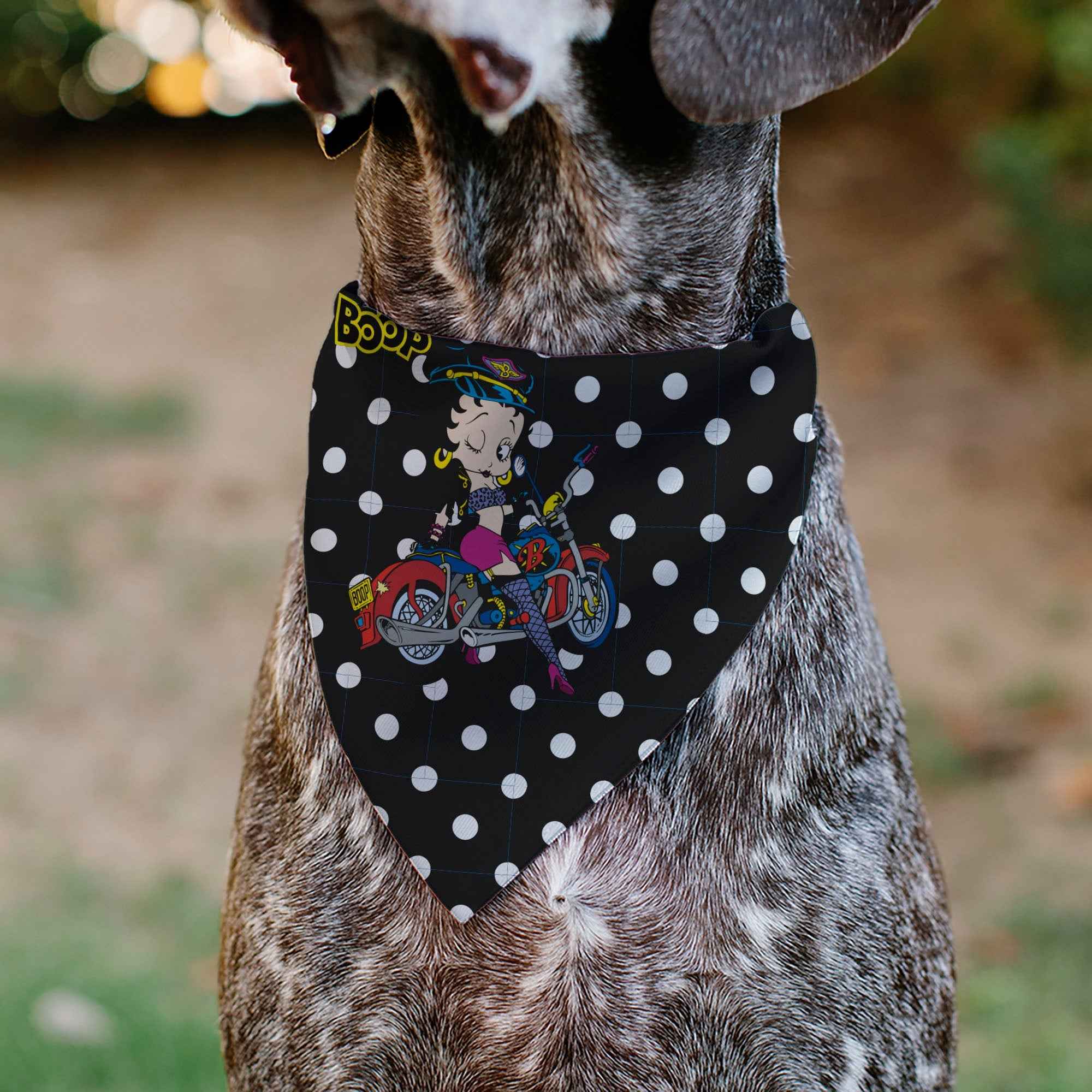 Buckle-Down Bandana Betty Boop Biker Betty Winking Pose and Text Polka Dot Black/White/Yellow Over-the-Collar Dog Bandana