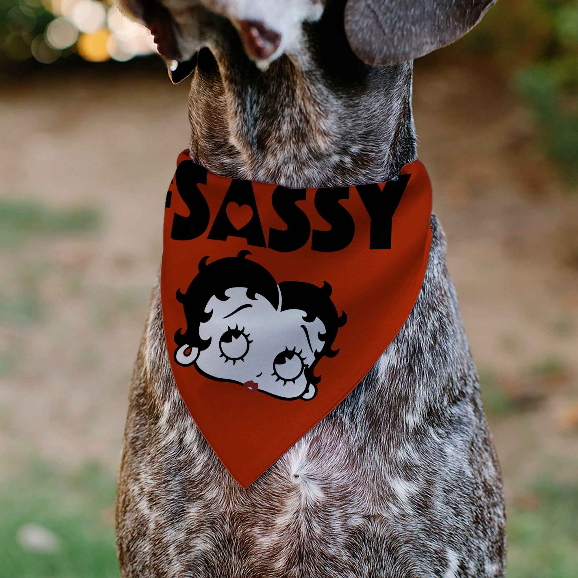 Pet Bandana - Betty Boop #SASSY Face Red/Black