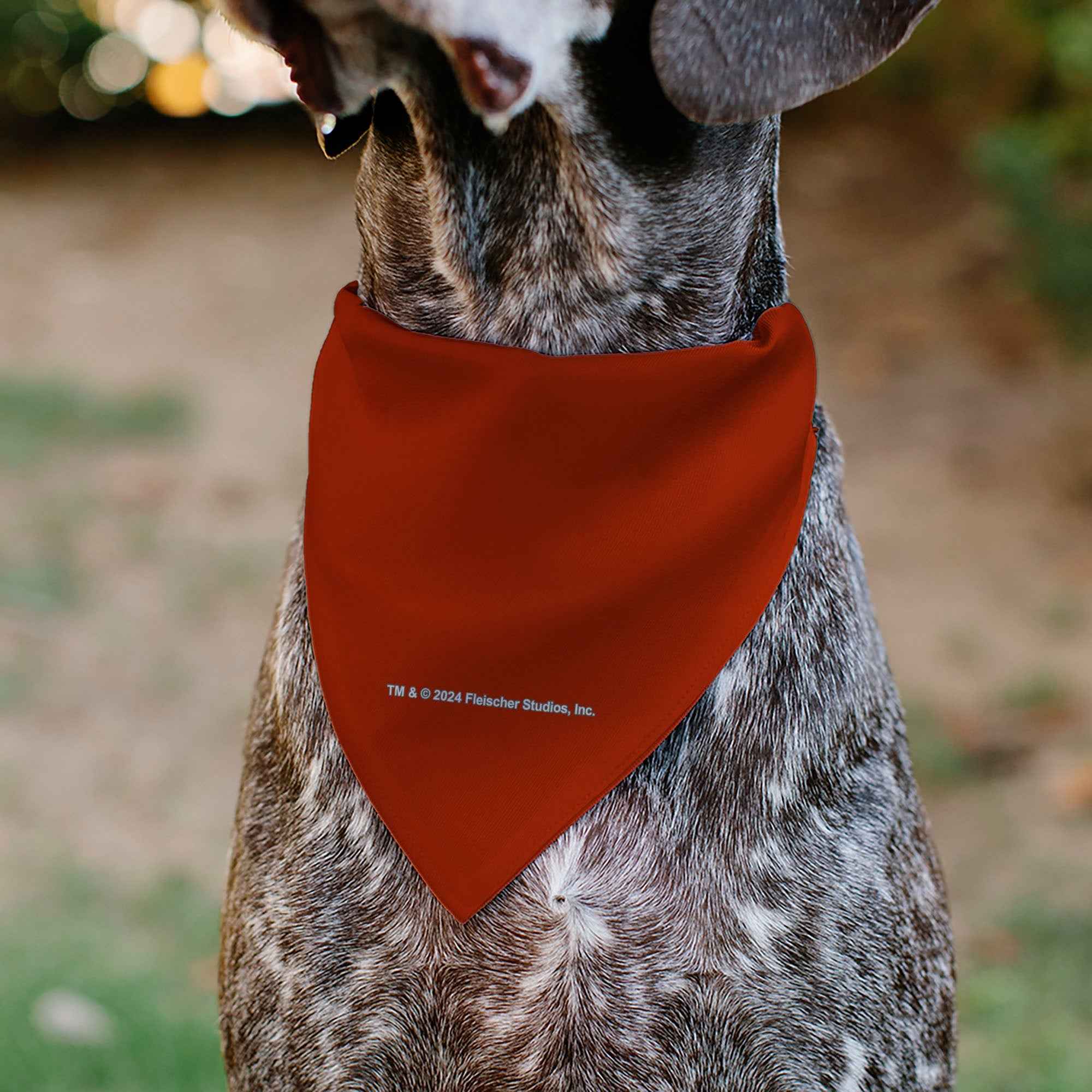 Pet Bandana - Betty Boop #SASSY Face Red/Black