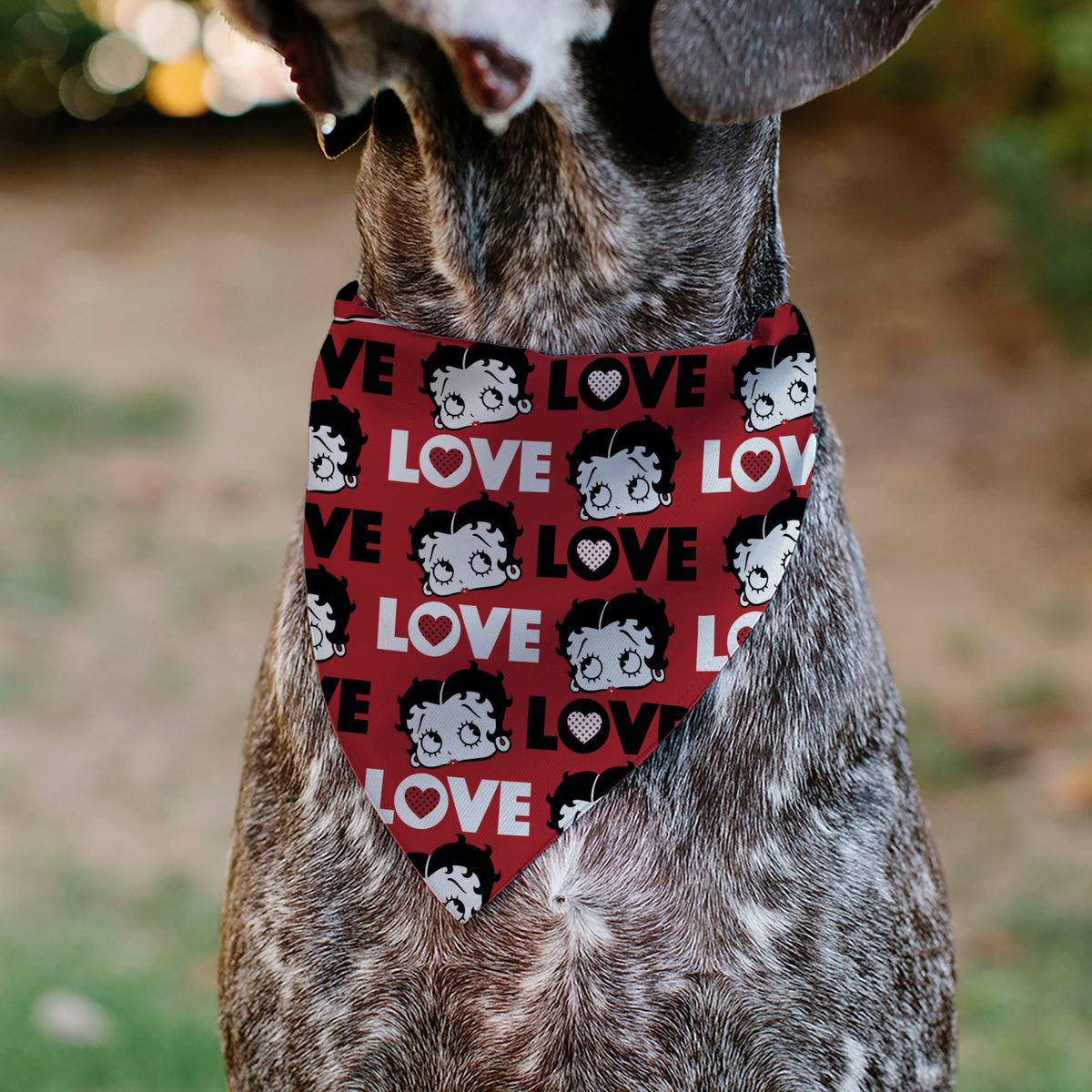 Pet Bandana - Betty Boop LOVE Text and Face Red/Black/White | HT Animal Supply