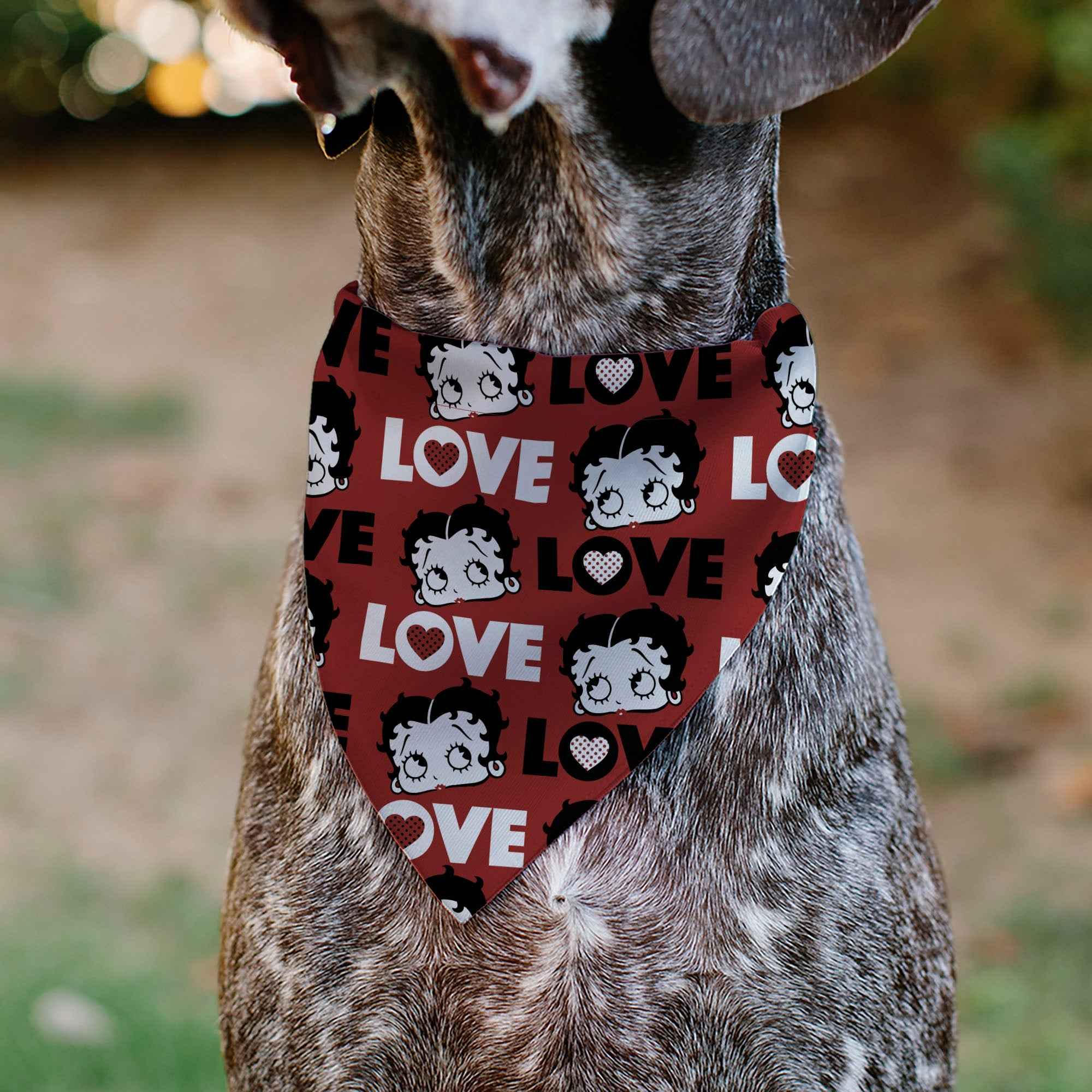Pet Bandana - Betty Boop LOVE Text and Face Red/Black/White
