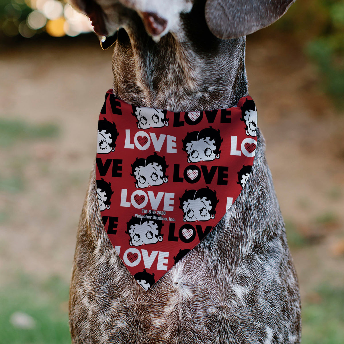 Pet Bandana - Betty Boop LOVE Text and Face Red/Black/White | HT Animal Supply