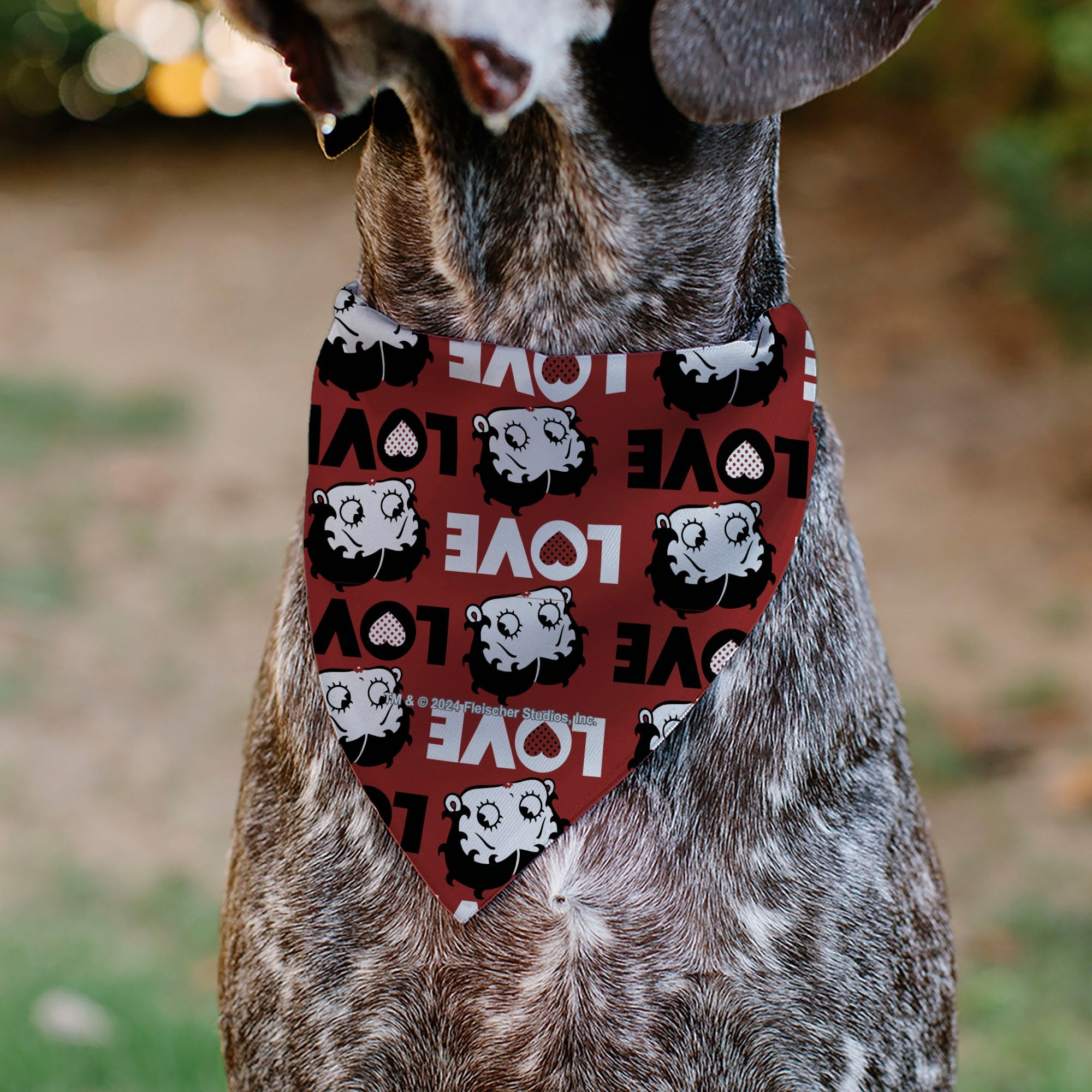 Pet Bandana - Betty Boop LOVE Text and Face Red/Black/White
