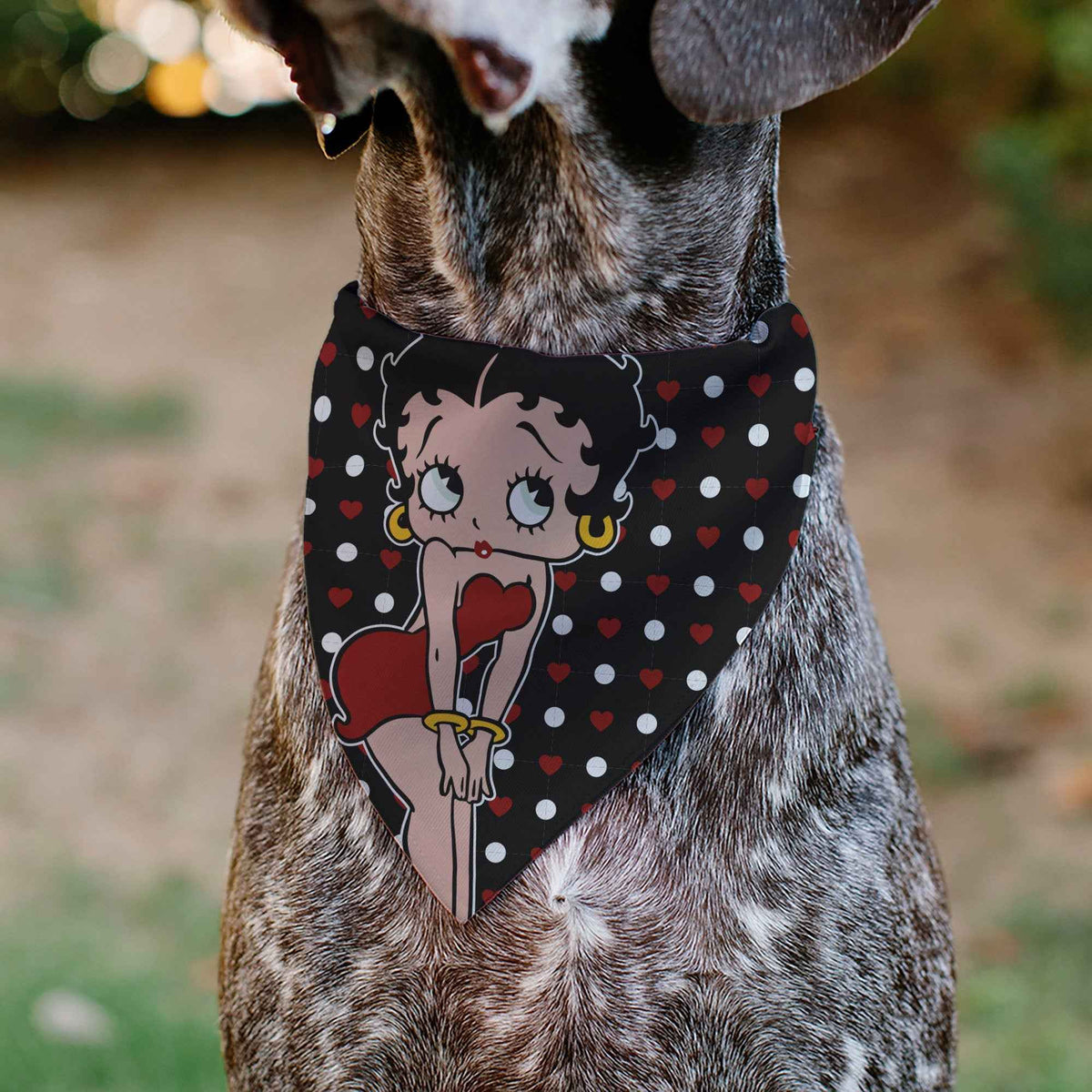 Pet Bandana - Betty Boop Hands on Knees Pose Heart Polka Dot Black/Red/White
